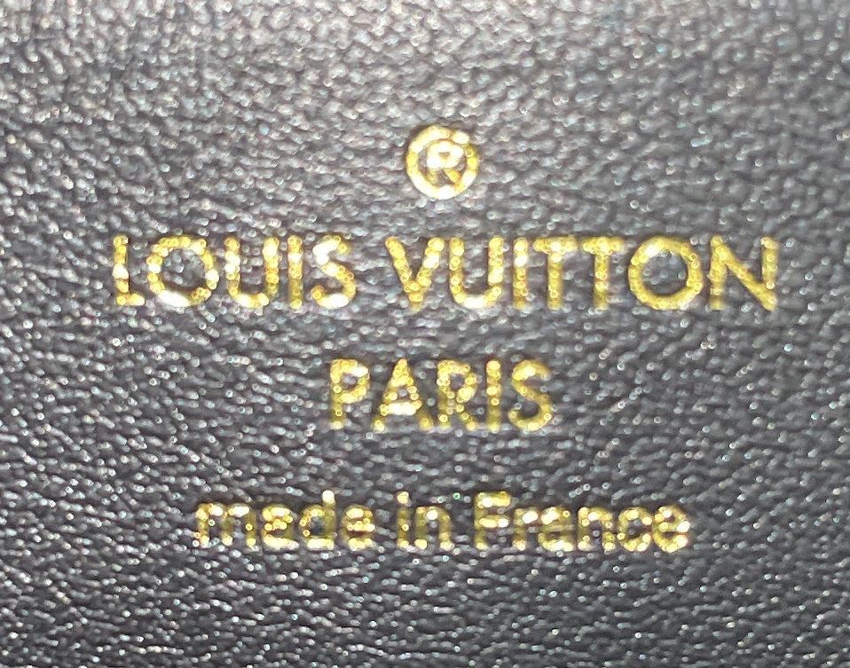 Glasses Case LV Match Monogram Jacquard Velvet GM - Image 9