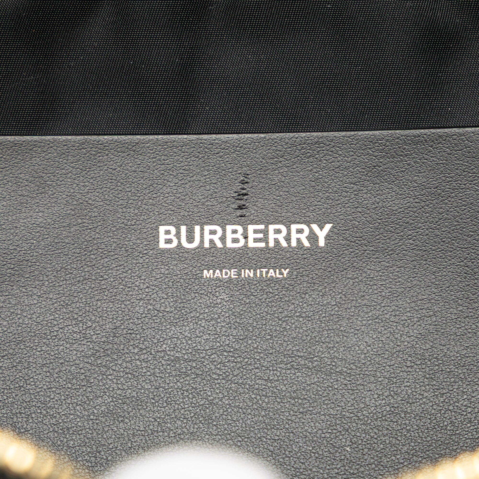 Sonny Belt Bag TB Monogram Nylon - Image 5
