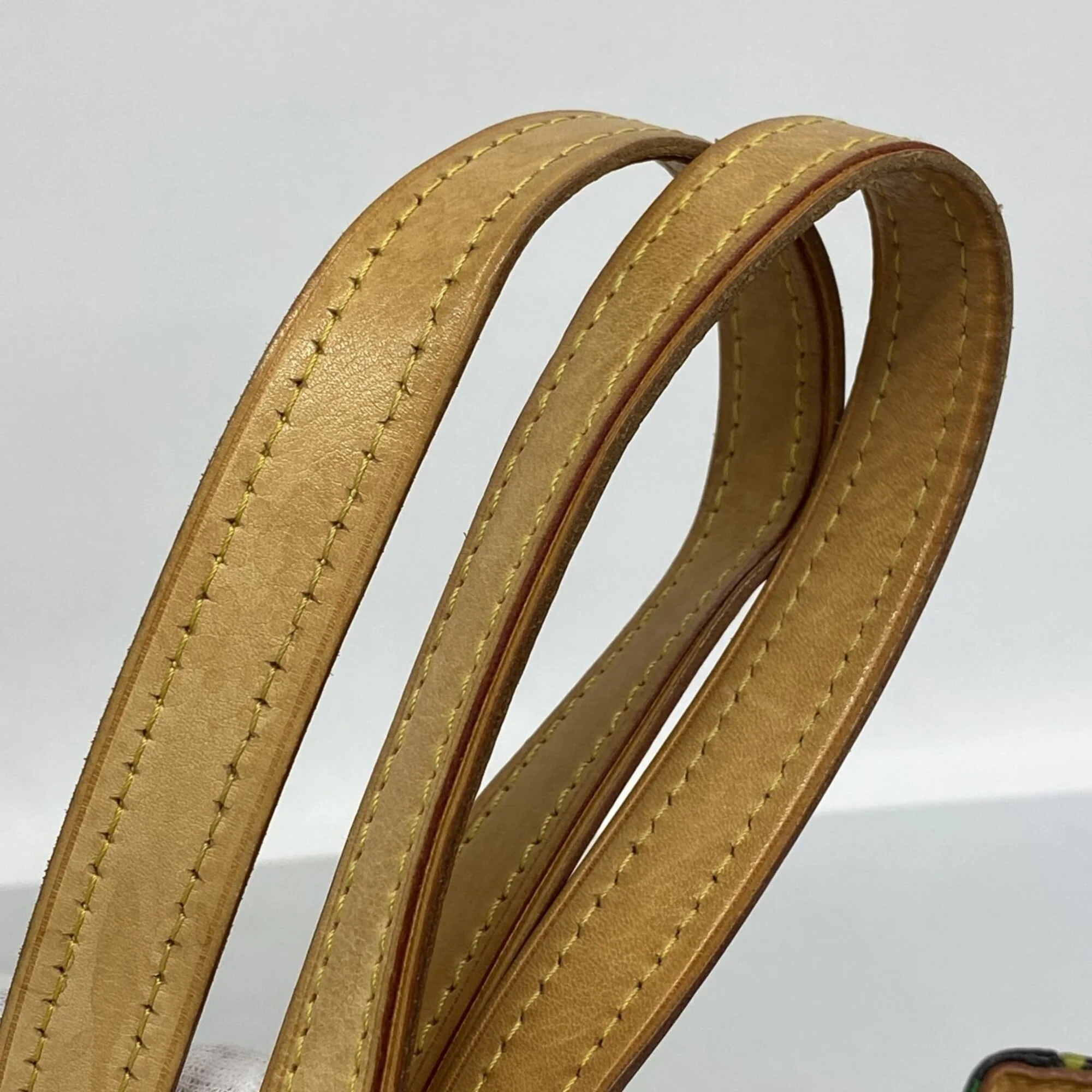 Aurelia Handbag Monogram Multicolor MM - Image 8