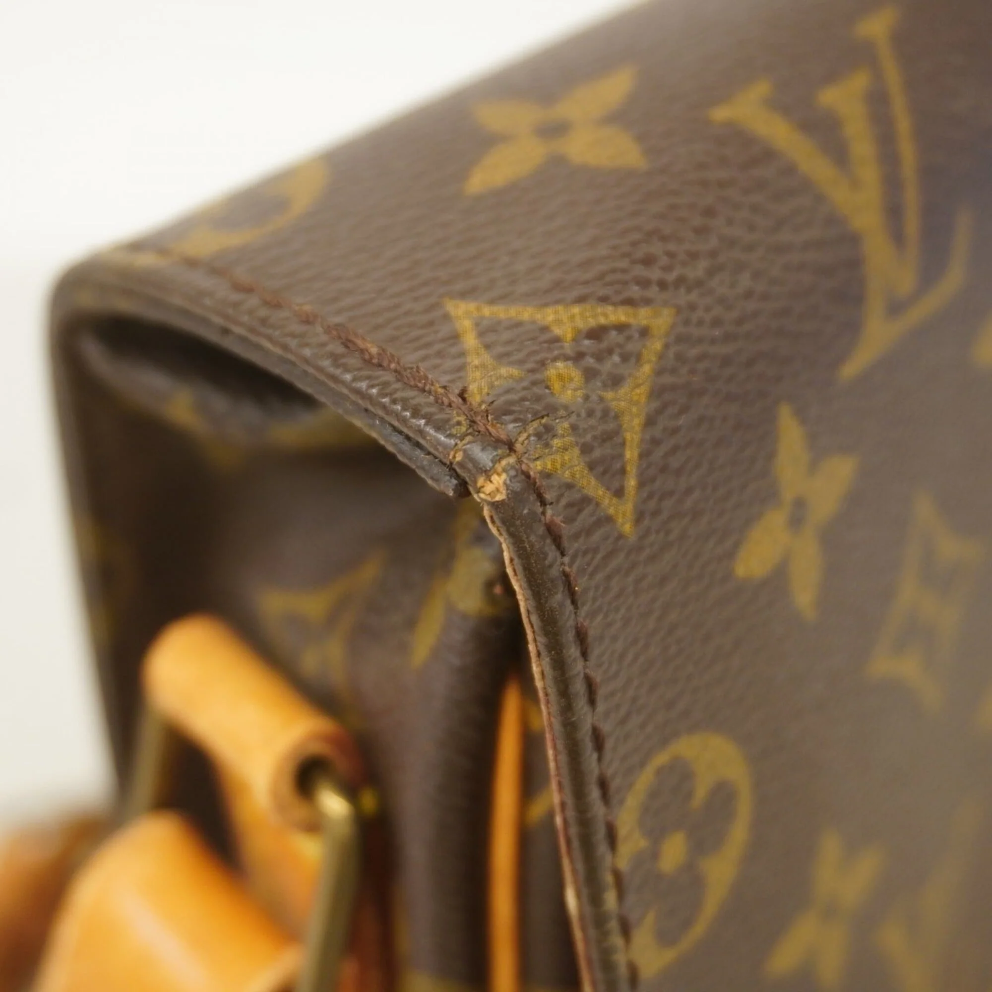 Cartouchiere Handbag Monogram Canvas GM - Image 7