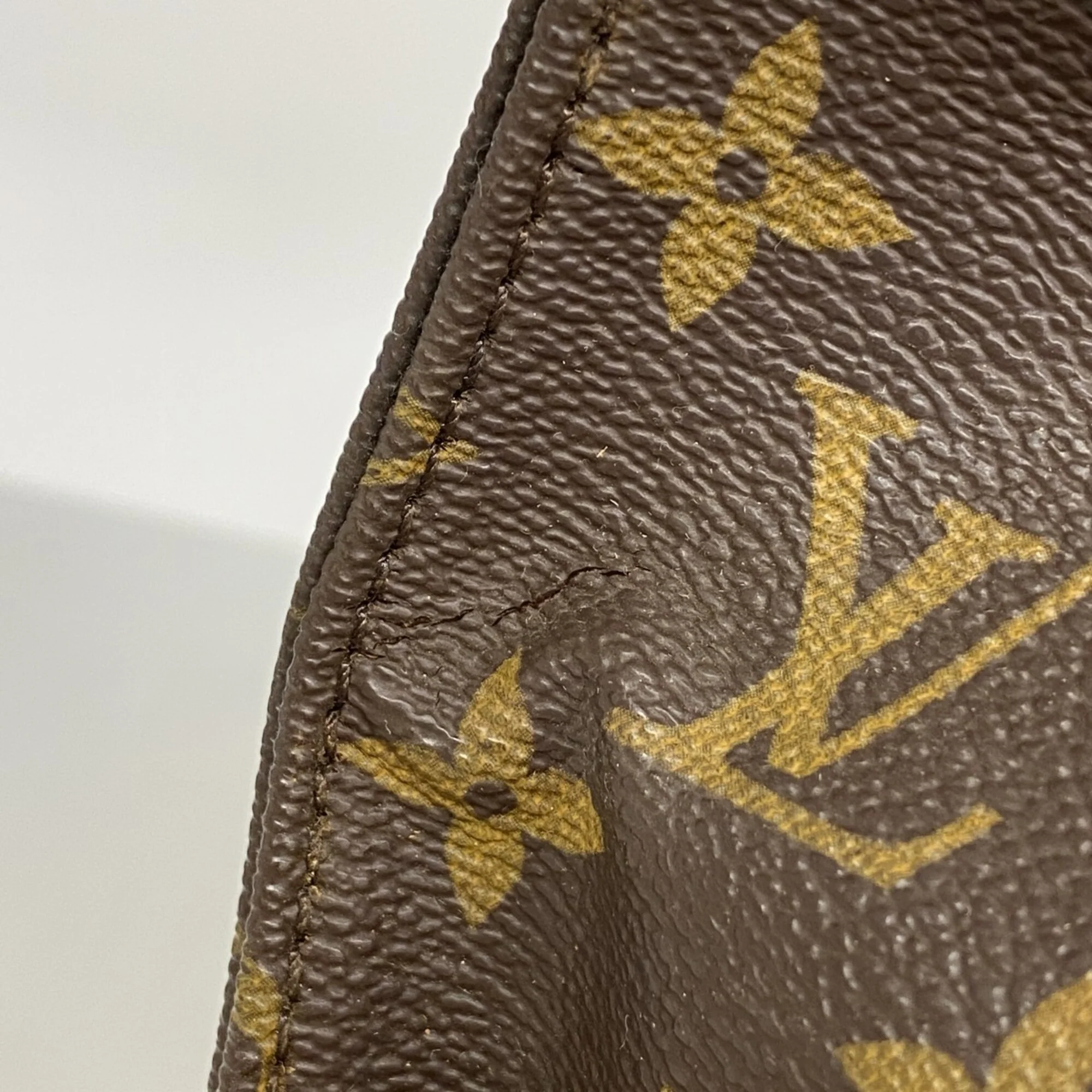Cartouchiere Handbag Monogram Canvas GM - Image 7