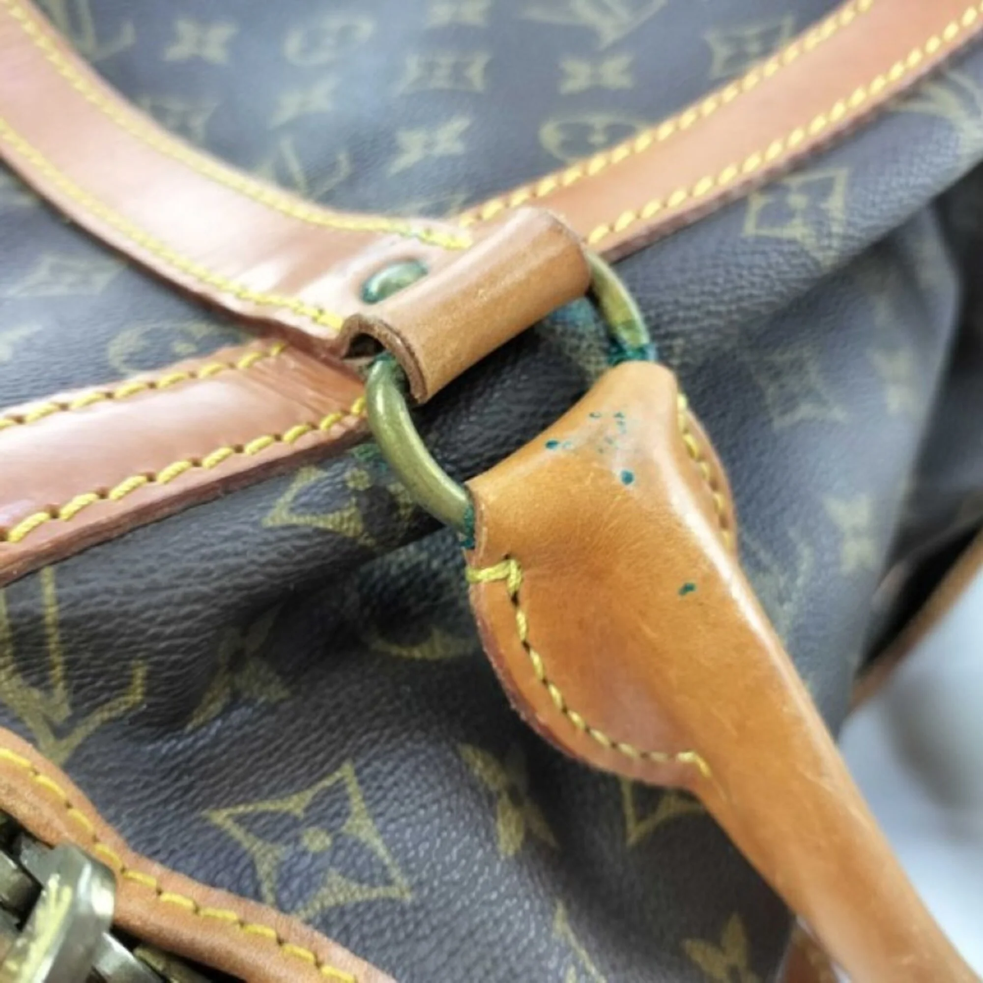 Dog Carrier Bag Monogram Canvas 40 - Image 4