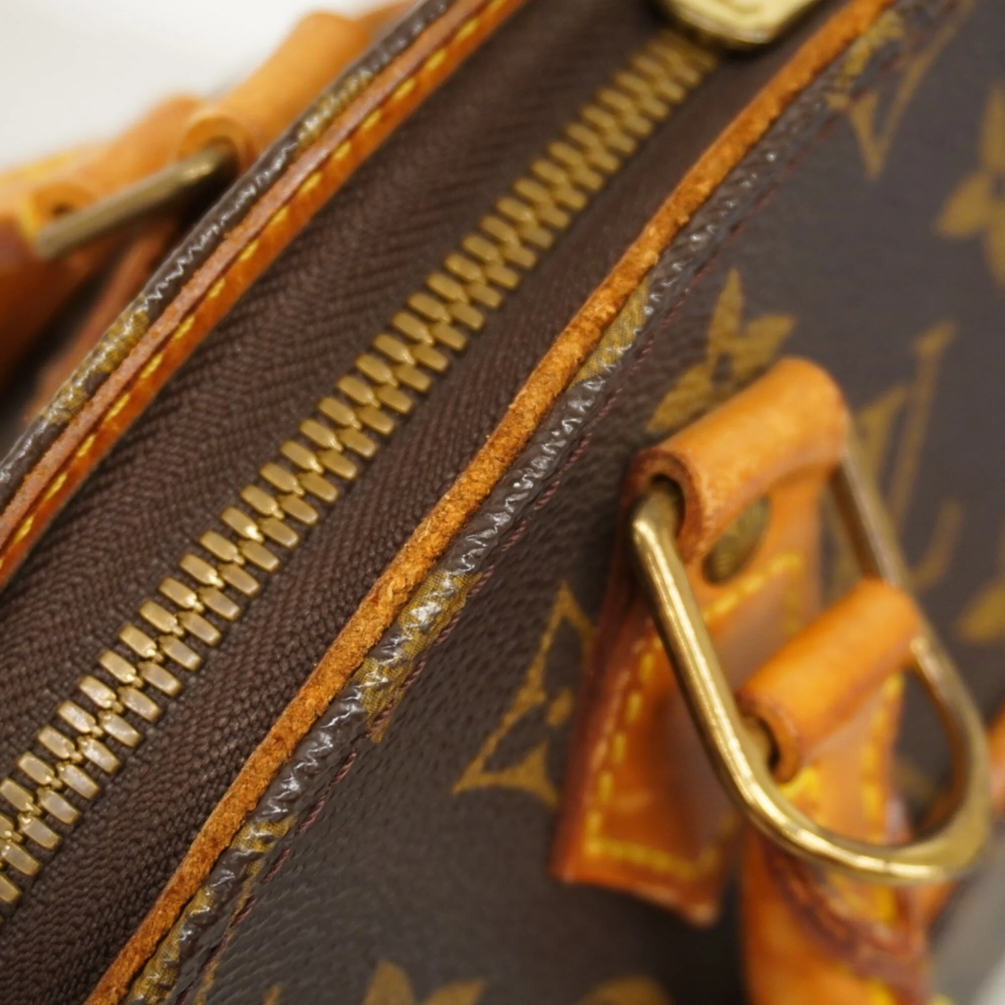 Ellipse Bag Monogram Canvas PM - Image 7