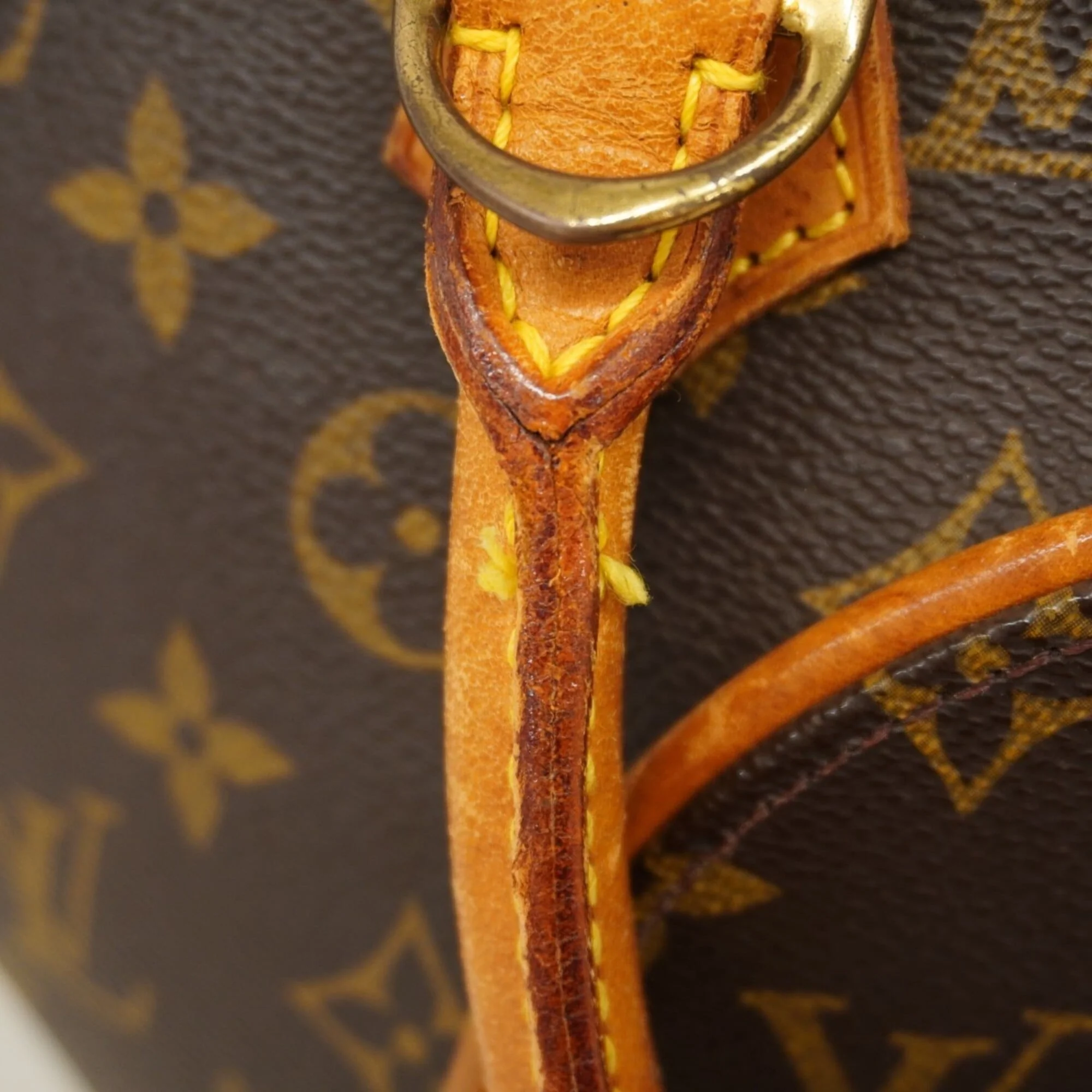 Ellipse Bag Monogram Canvas PM - Image 8