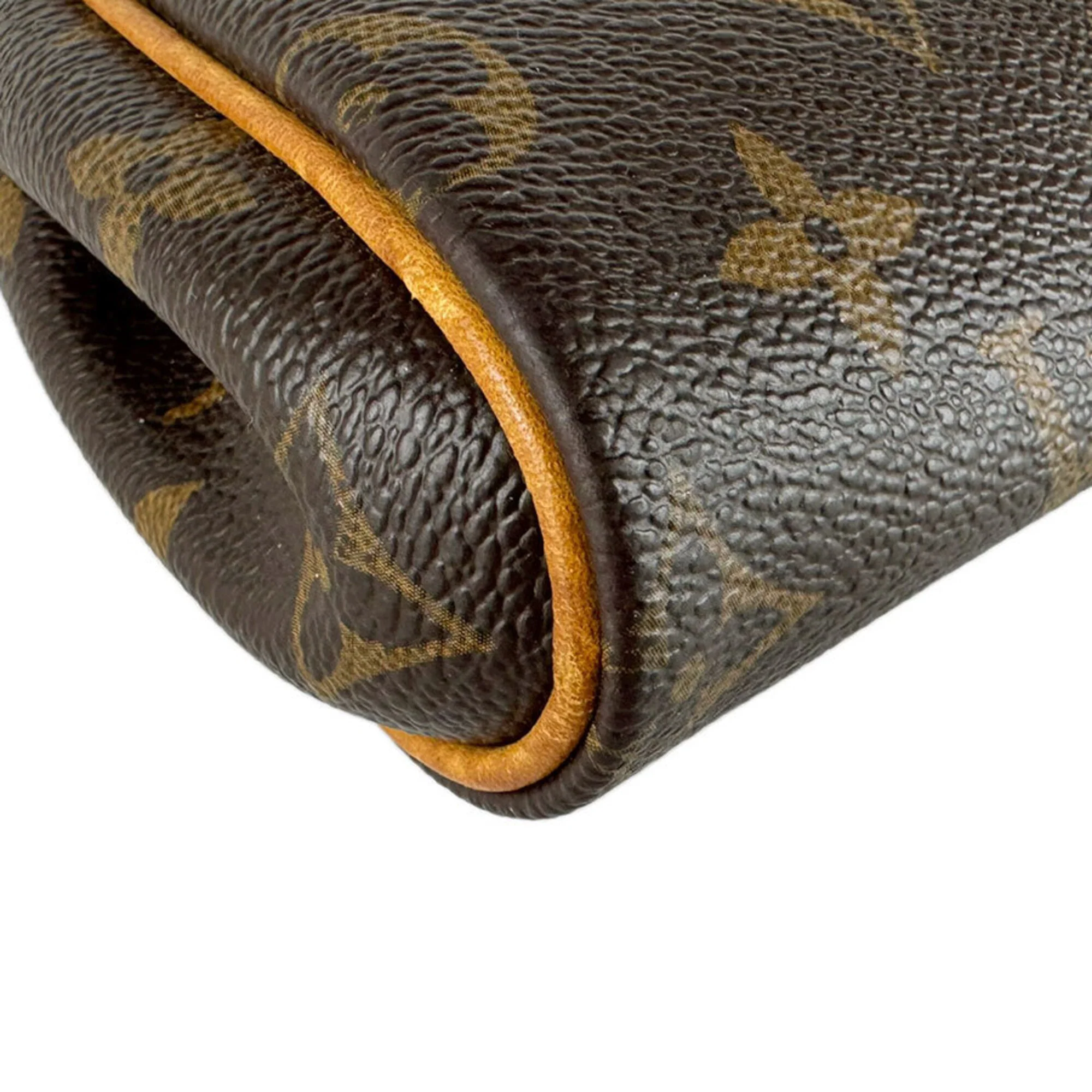 Eva Handbag Monogram Canvas - Image 8