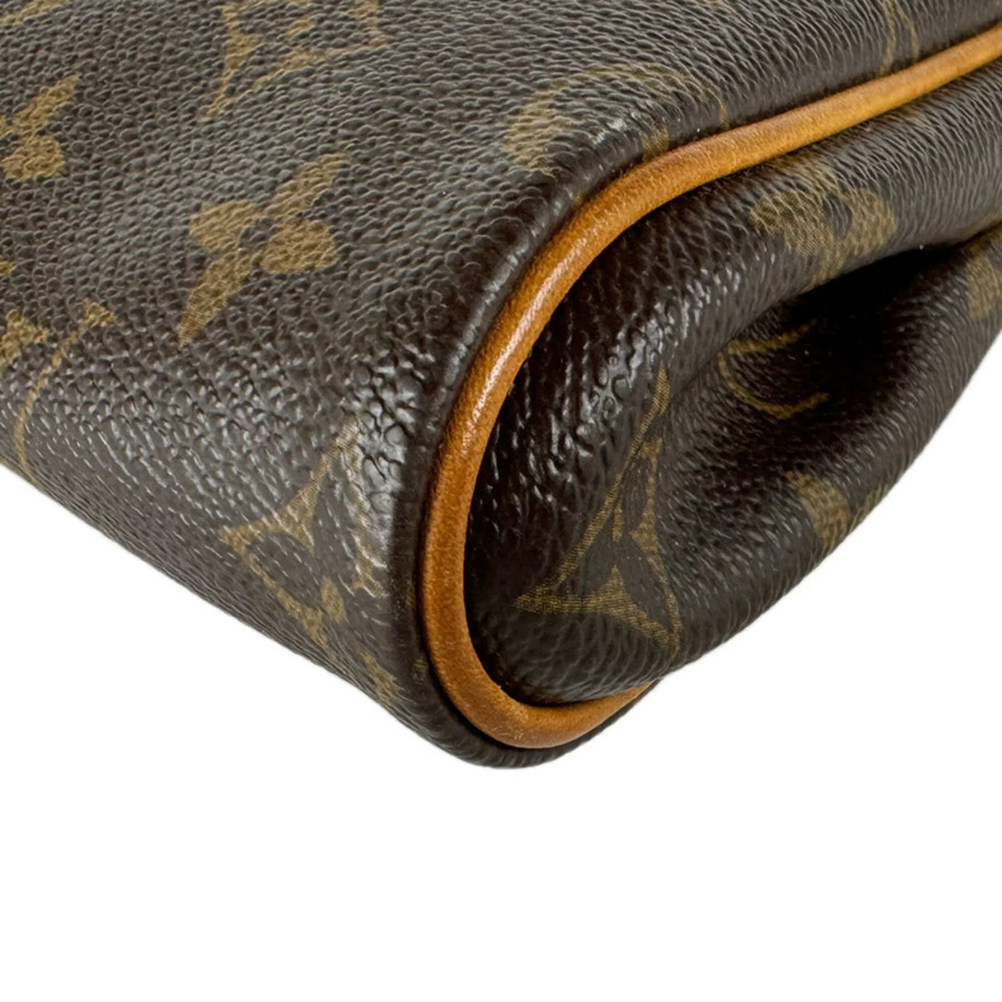 Eva Handbag Monogram Canvas - Image 9