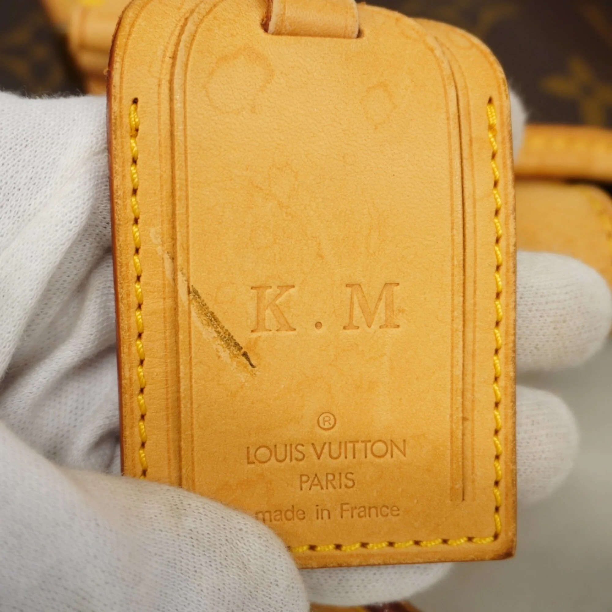 Garment Cover Monogram Canvas - Image 6