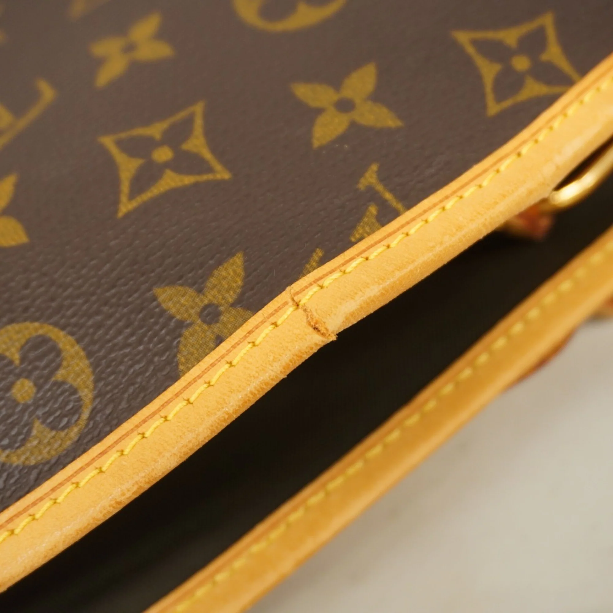 Garment Cover Monogram Canvas - Image 8