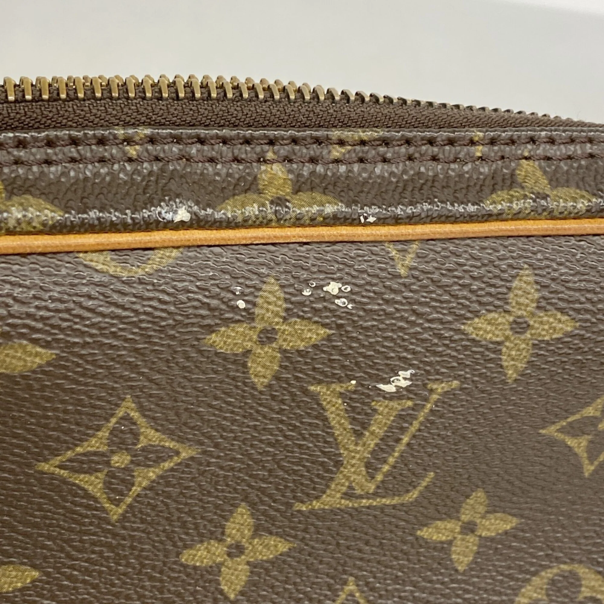 Marly Dragonne Clutch Monogram Canvas GM - Image 6