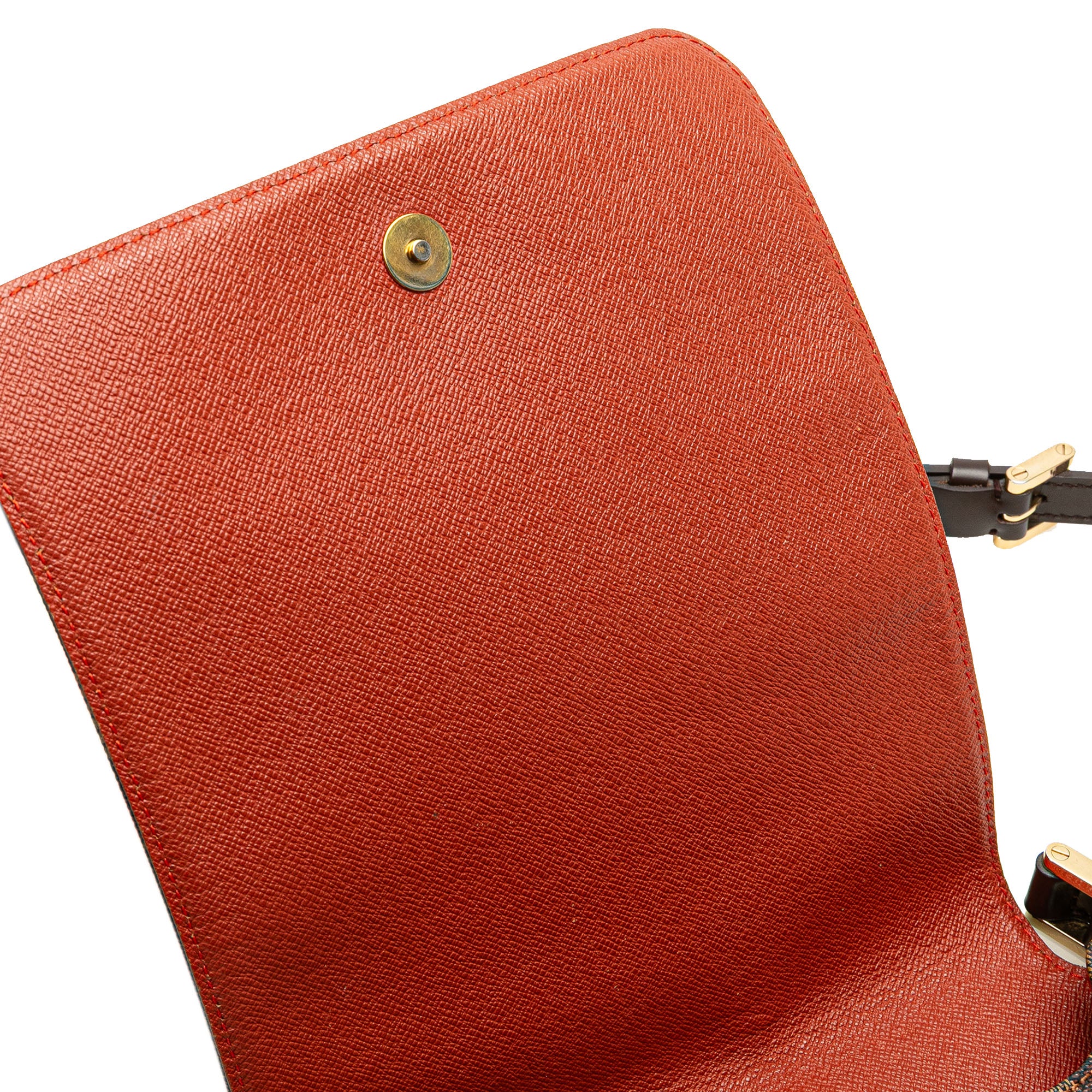 Musette Salsa Handbag Damier - Image 7