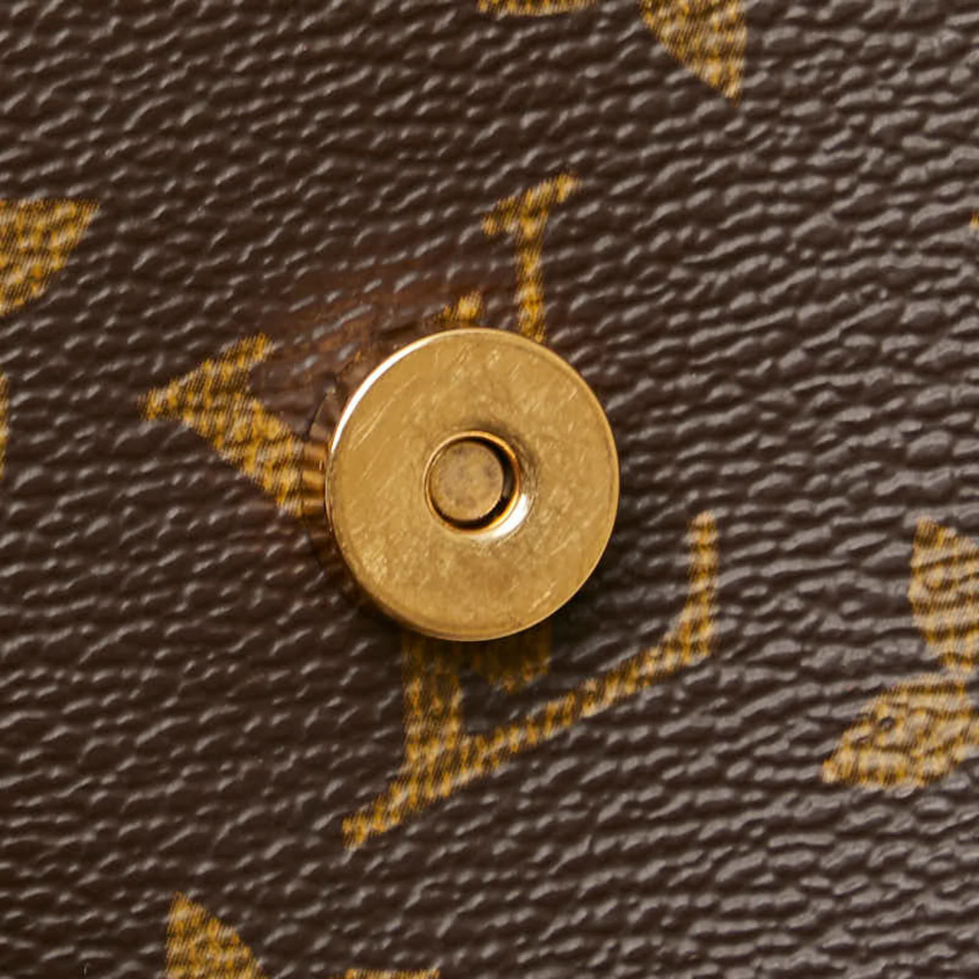 Musette Tango Handbag Monogram Canvas - Image 4
