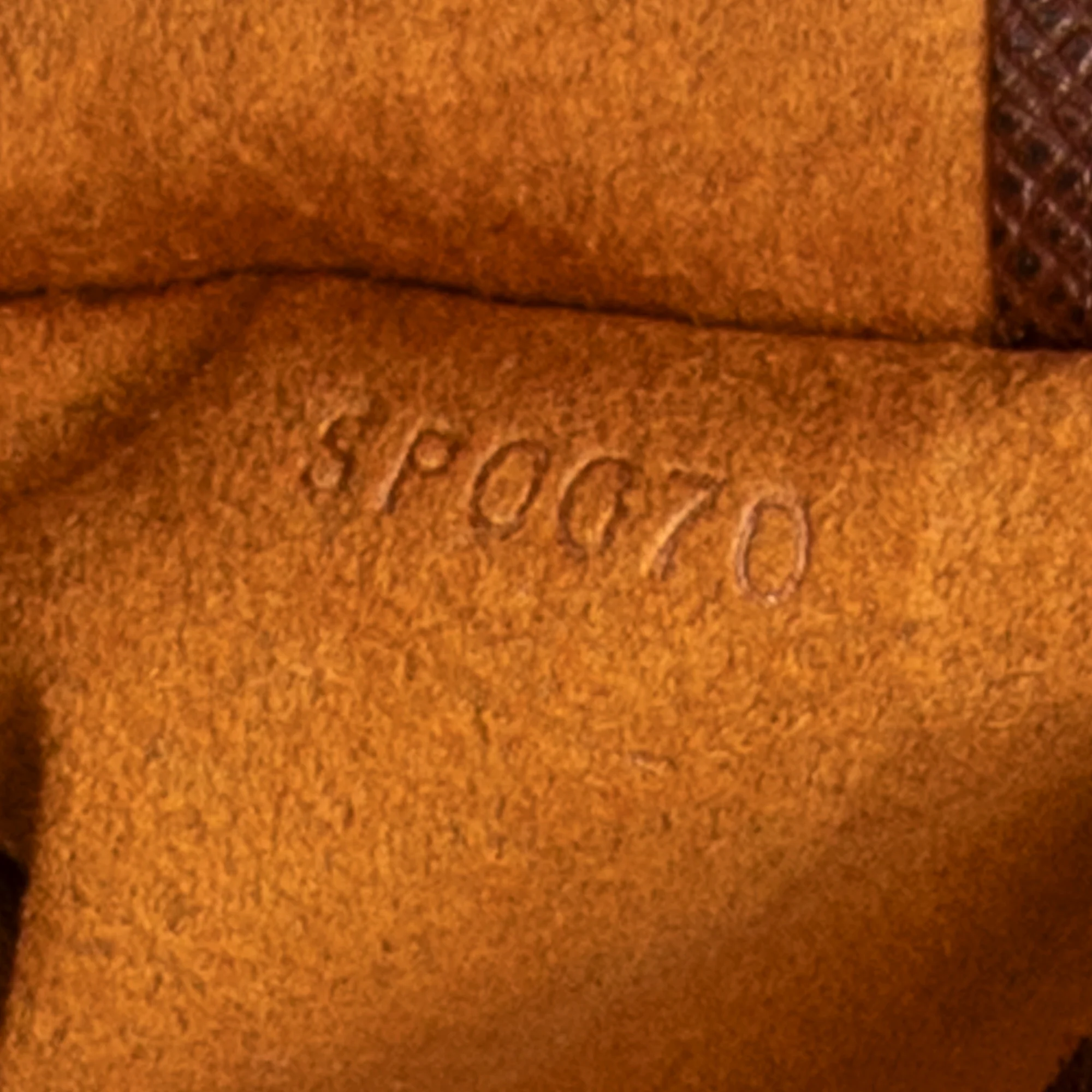 Musette Tango Handbag Monogram Canvas - Image 10