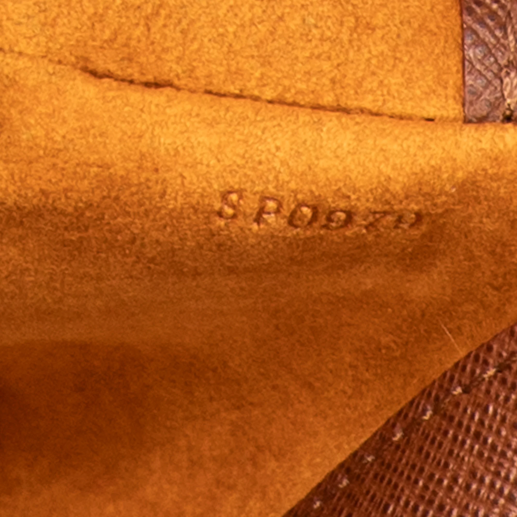 Musette Tango Handbag Monogram Canvas - Image 10