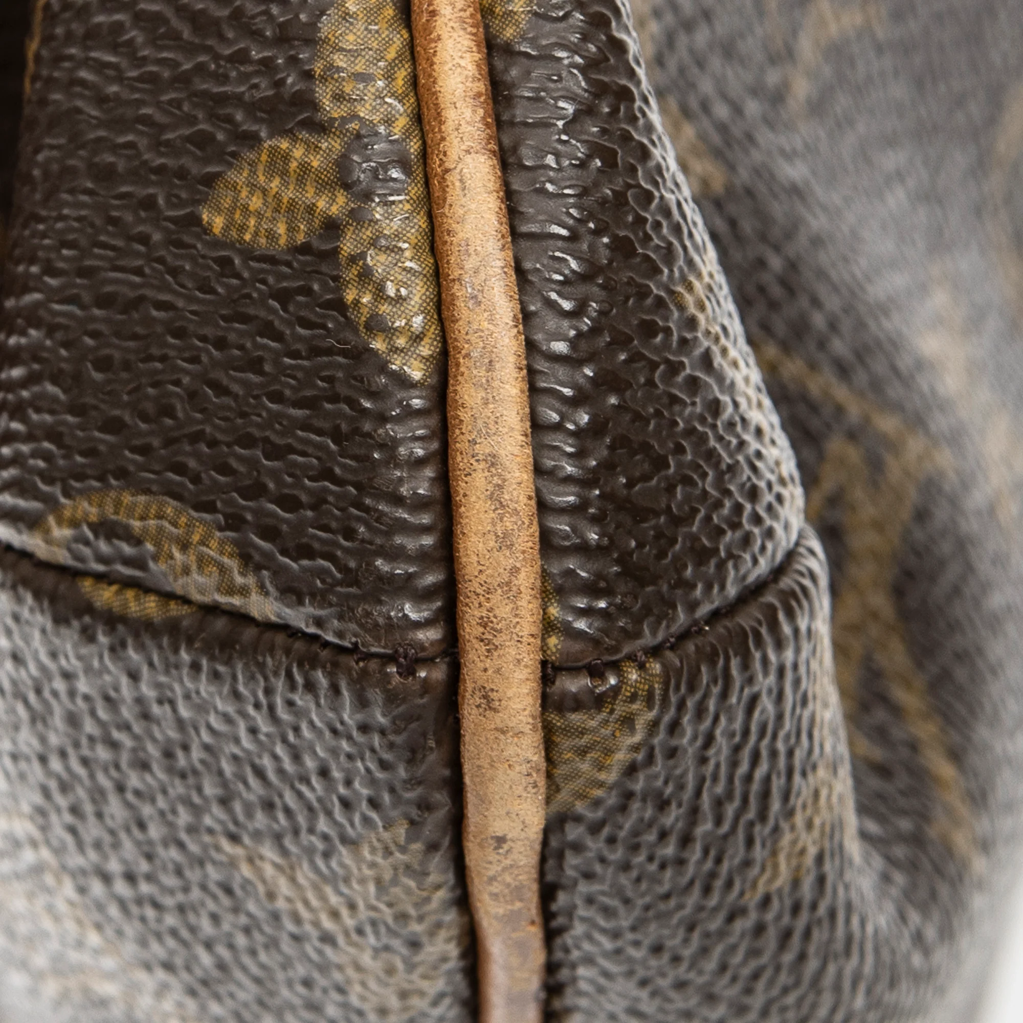 Musette Tango Handbag Monogram Canvas - Image 8
