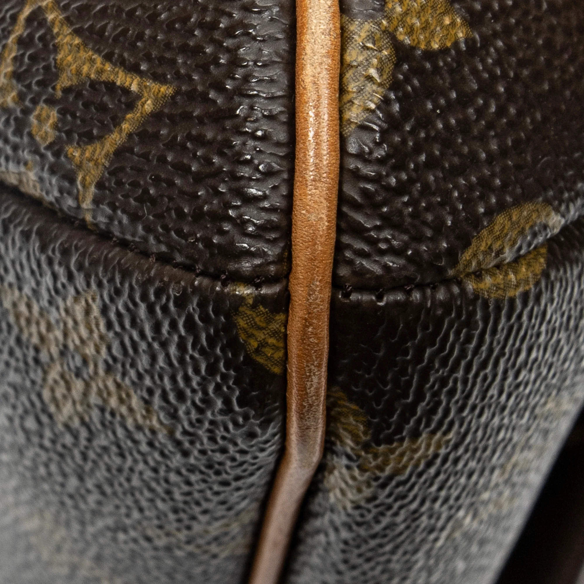 Musette Tango Handbag Monogram Canvas - Image 7