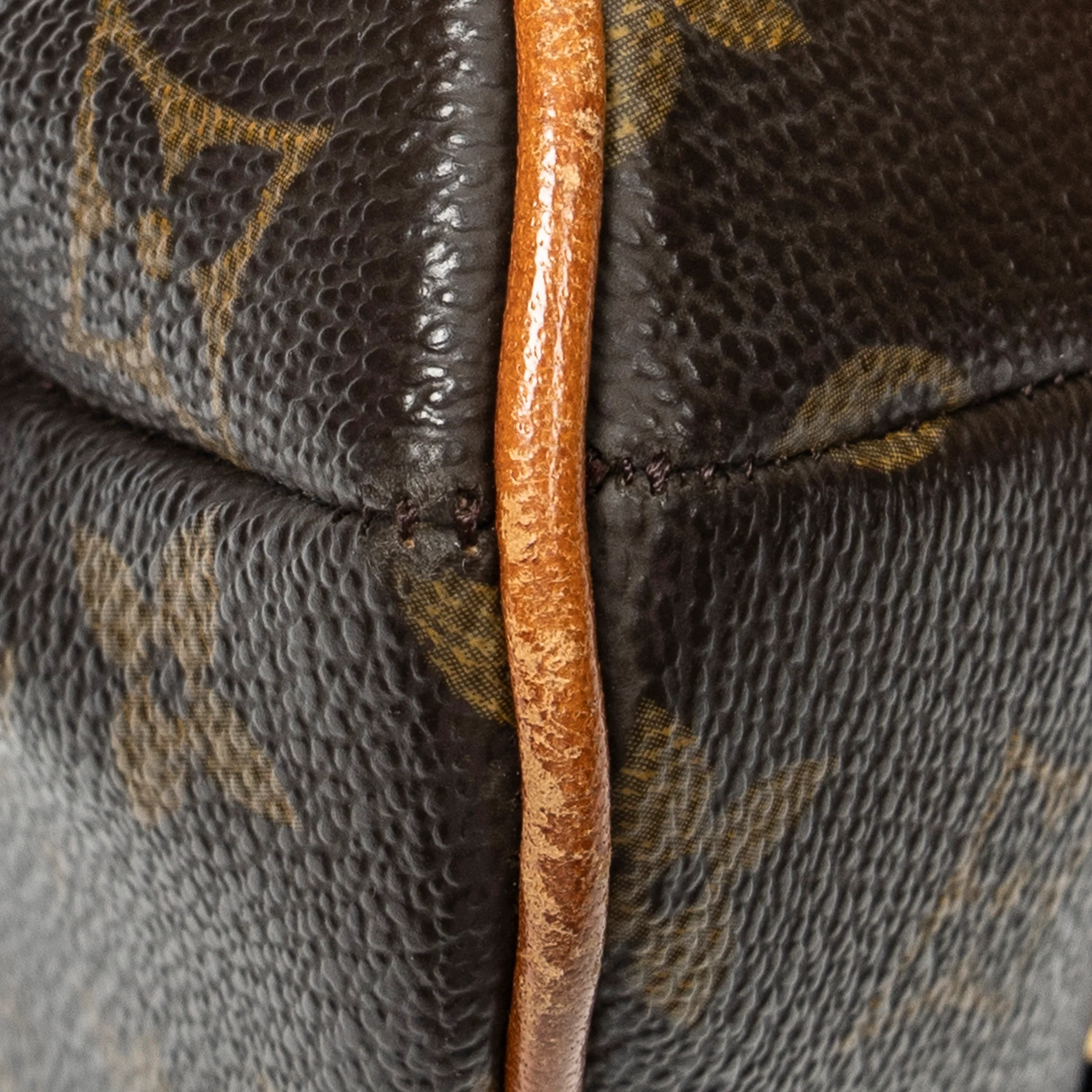 Musette Tango Handbag Monogram Canvas - Image 7