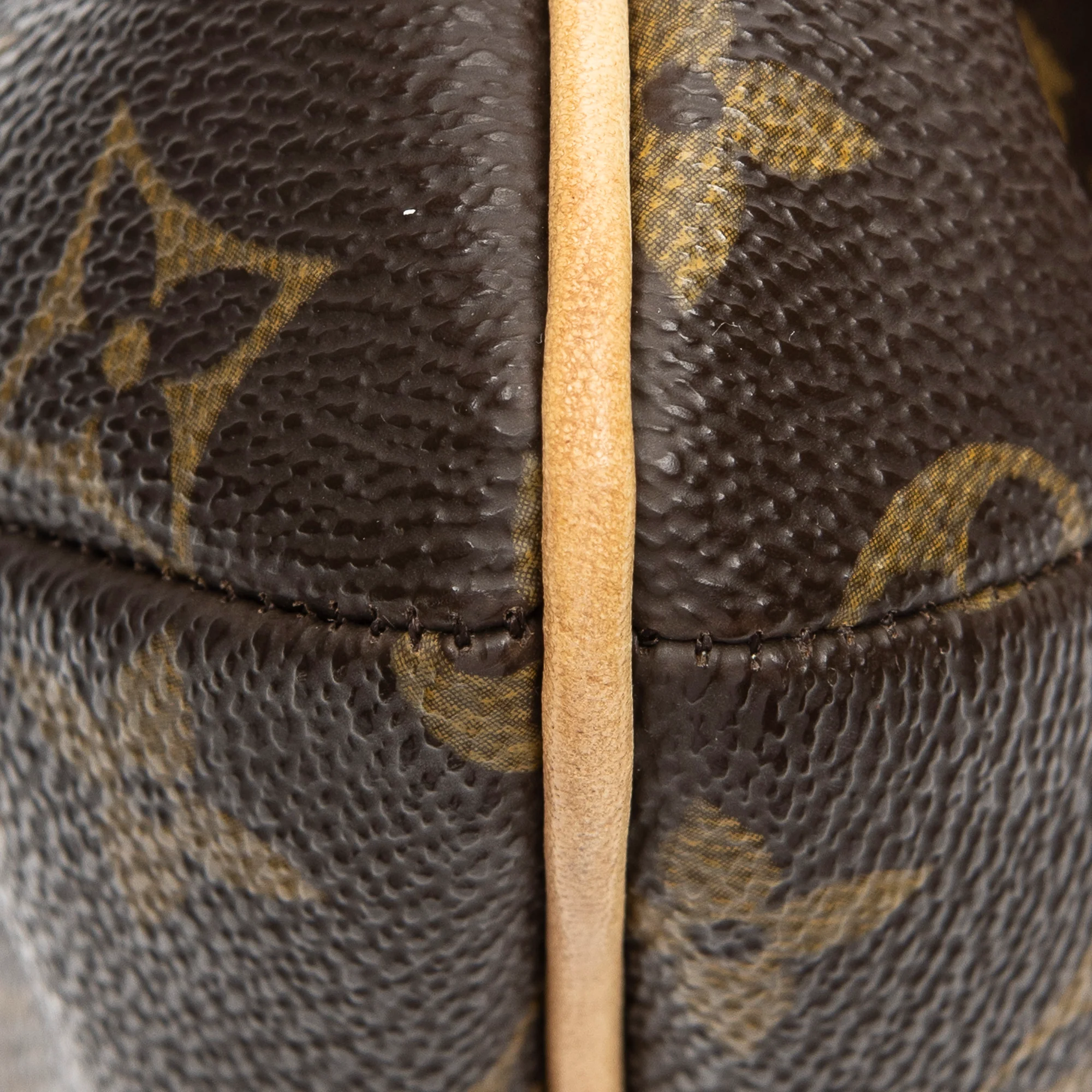 Musette Tango Handbag Monogram Canvas - Image 7