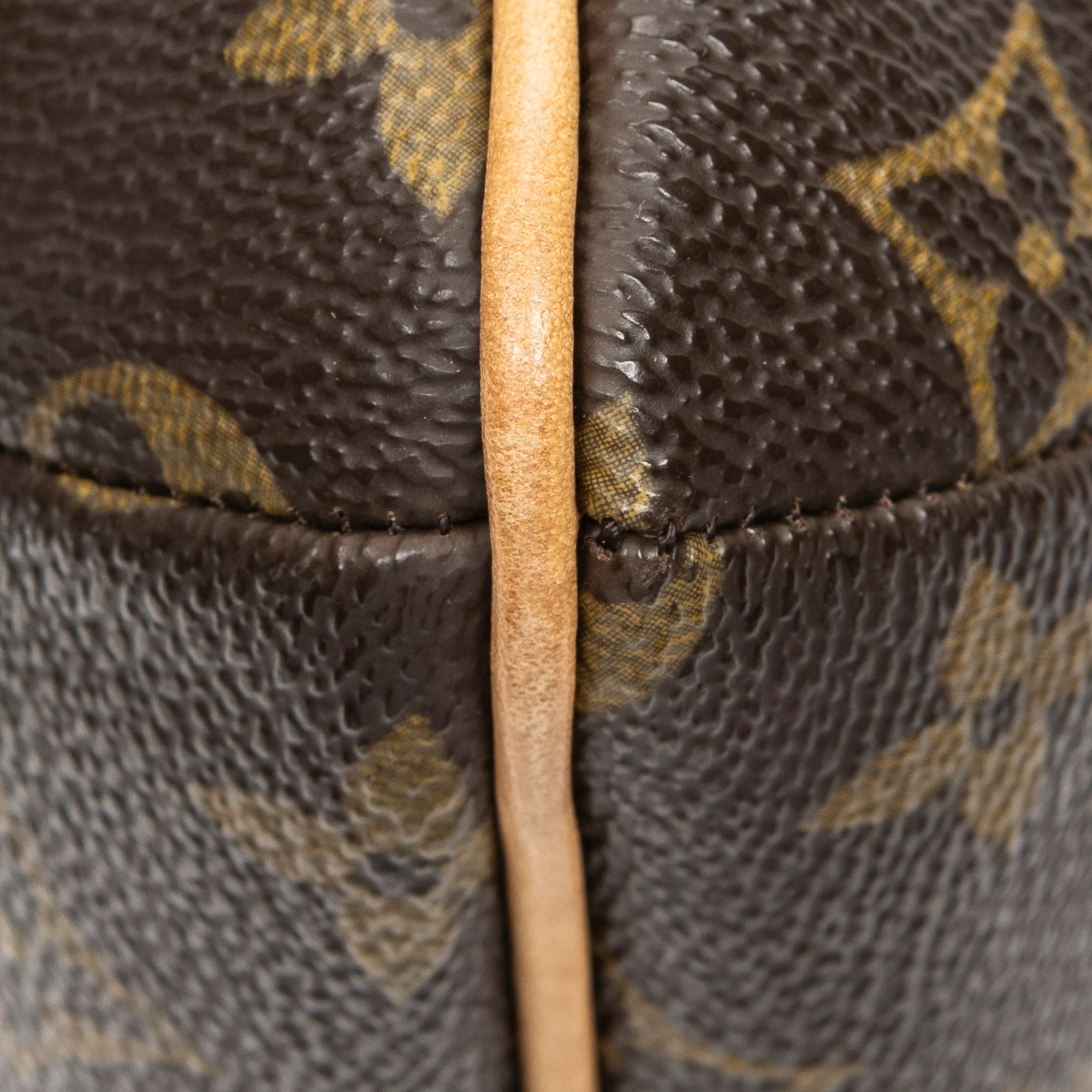 Musette Tango Handbag Monogram Canvas - Image 8
