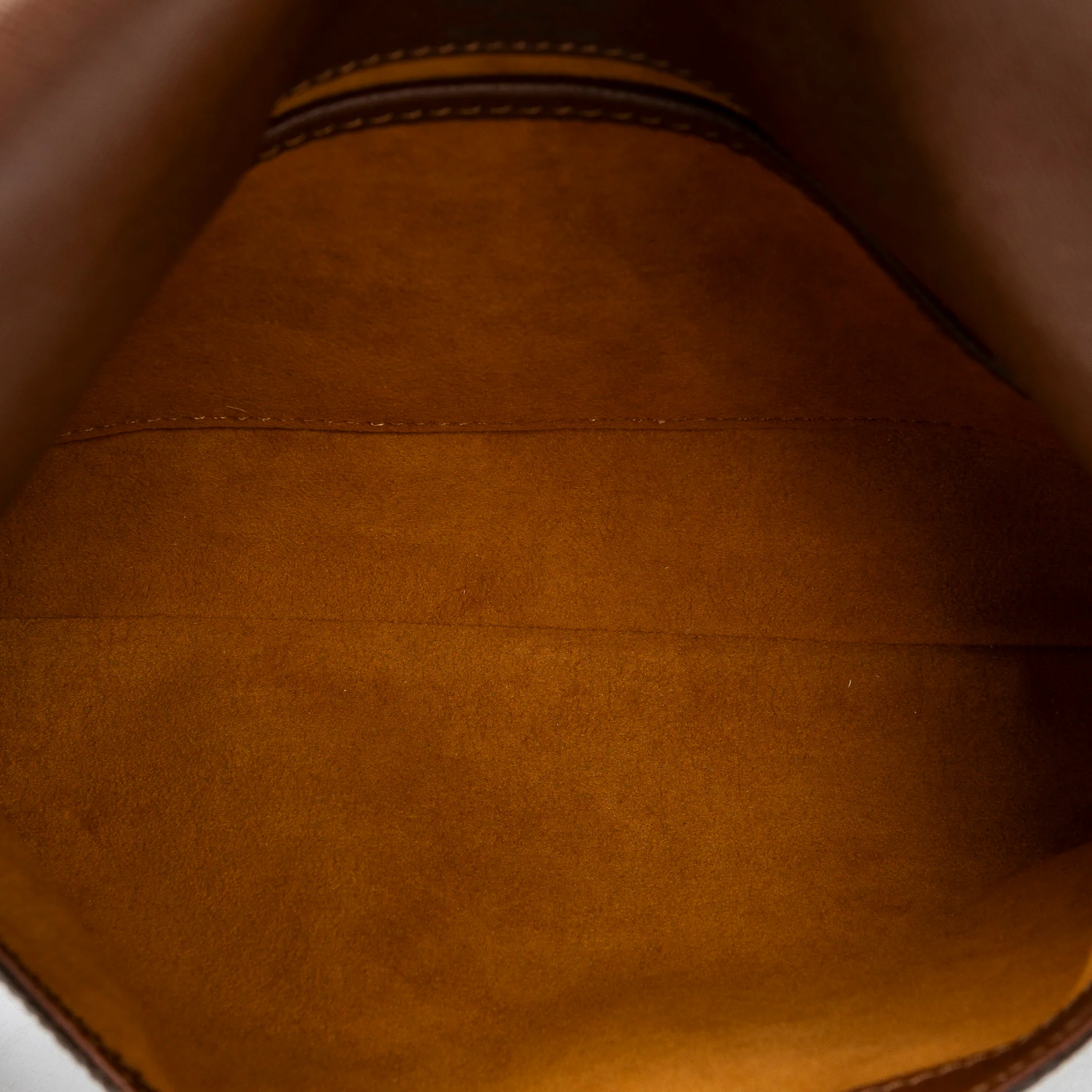Musette Tango Handbag Monogram Canvas - Image 9