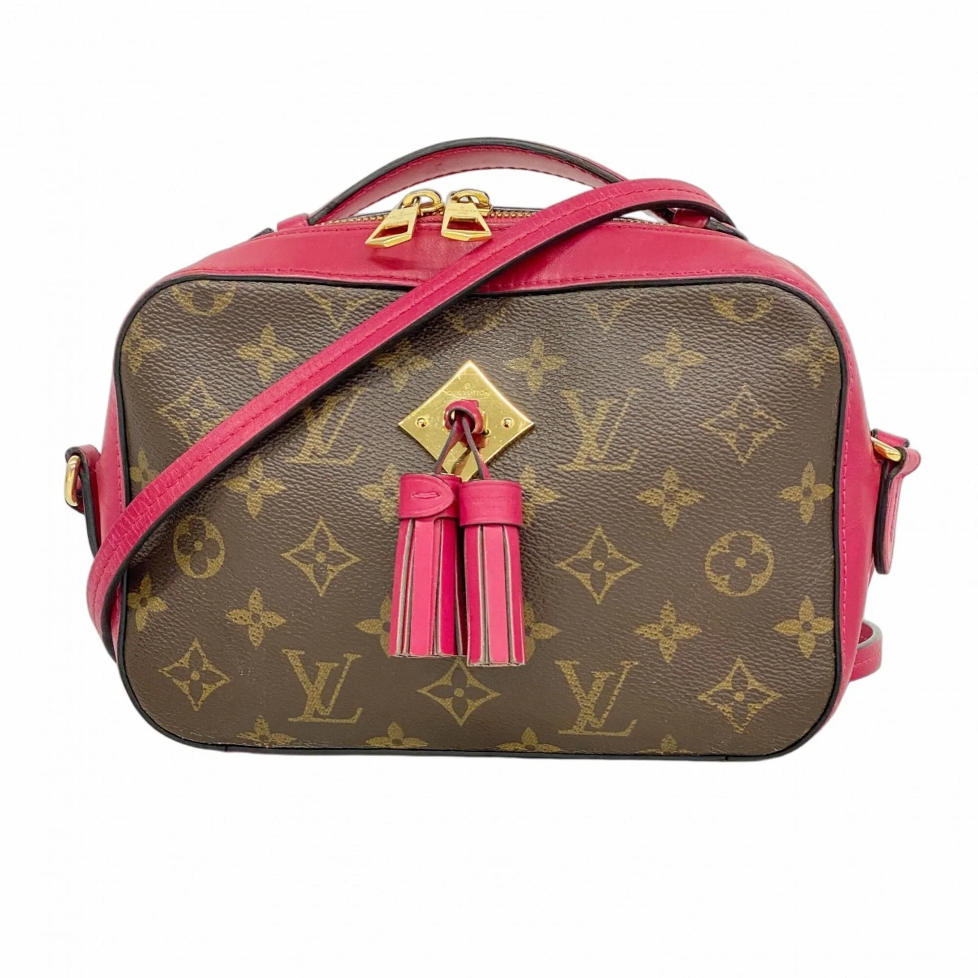 Saintonge Handbag Monogram Canvas with Leather