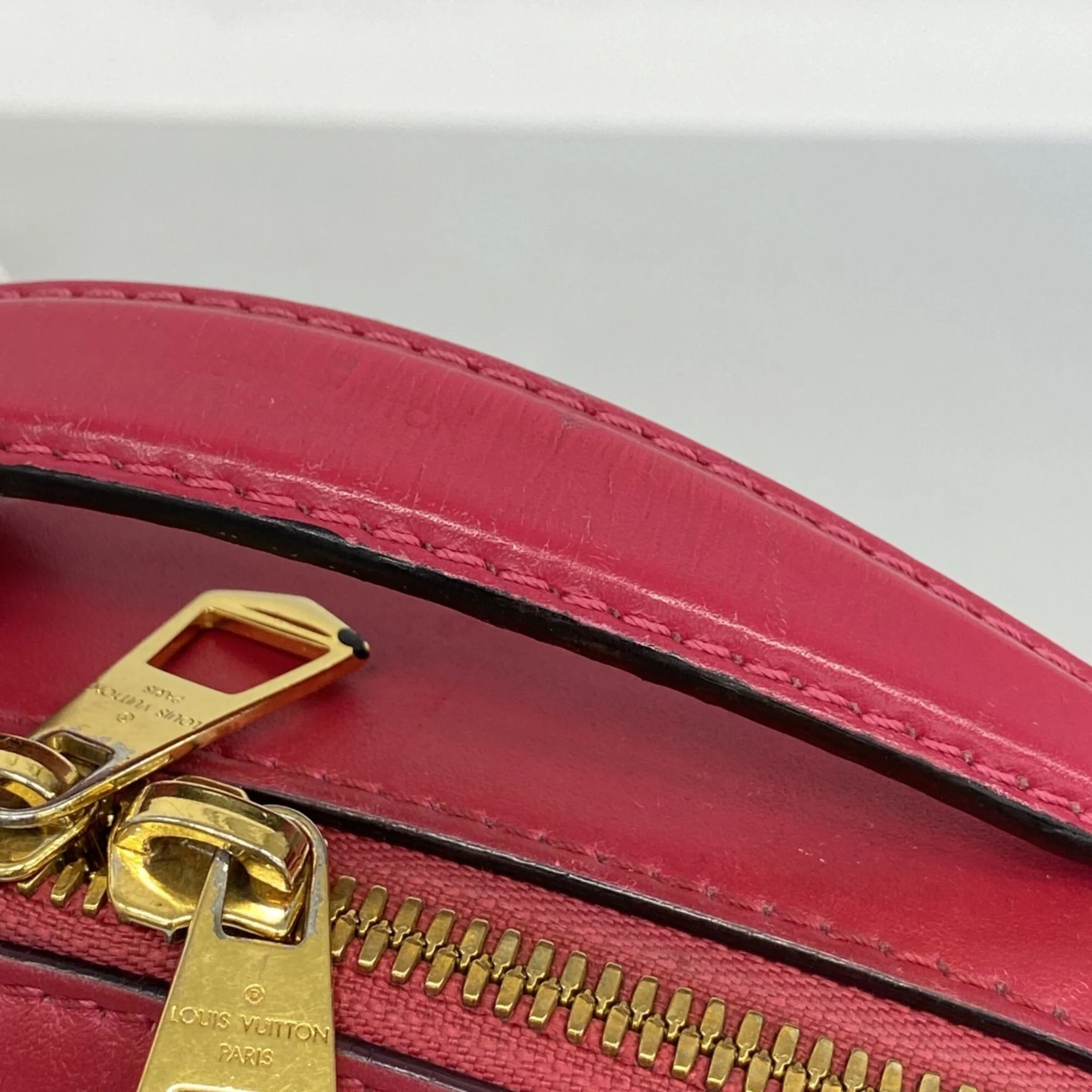 Saintonge Handbag Monogram Canvas with Leather - Image 8