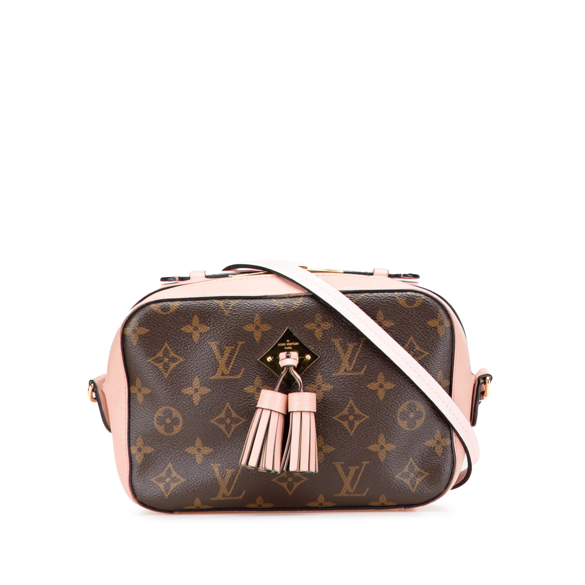 Saintonge Handbag Monogram Canvas with Leather