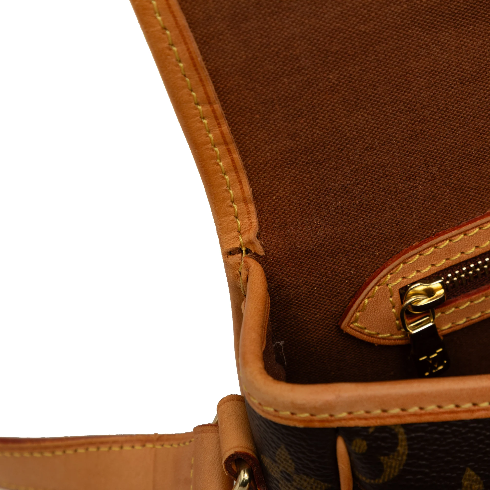 Sologne Handbag Monogram Canvas - Image 7
