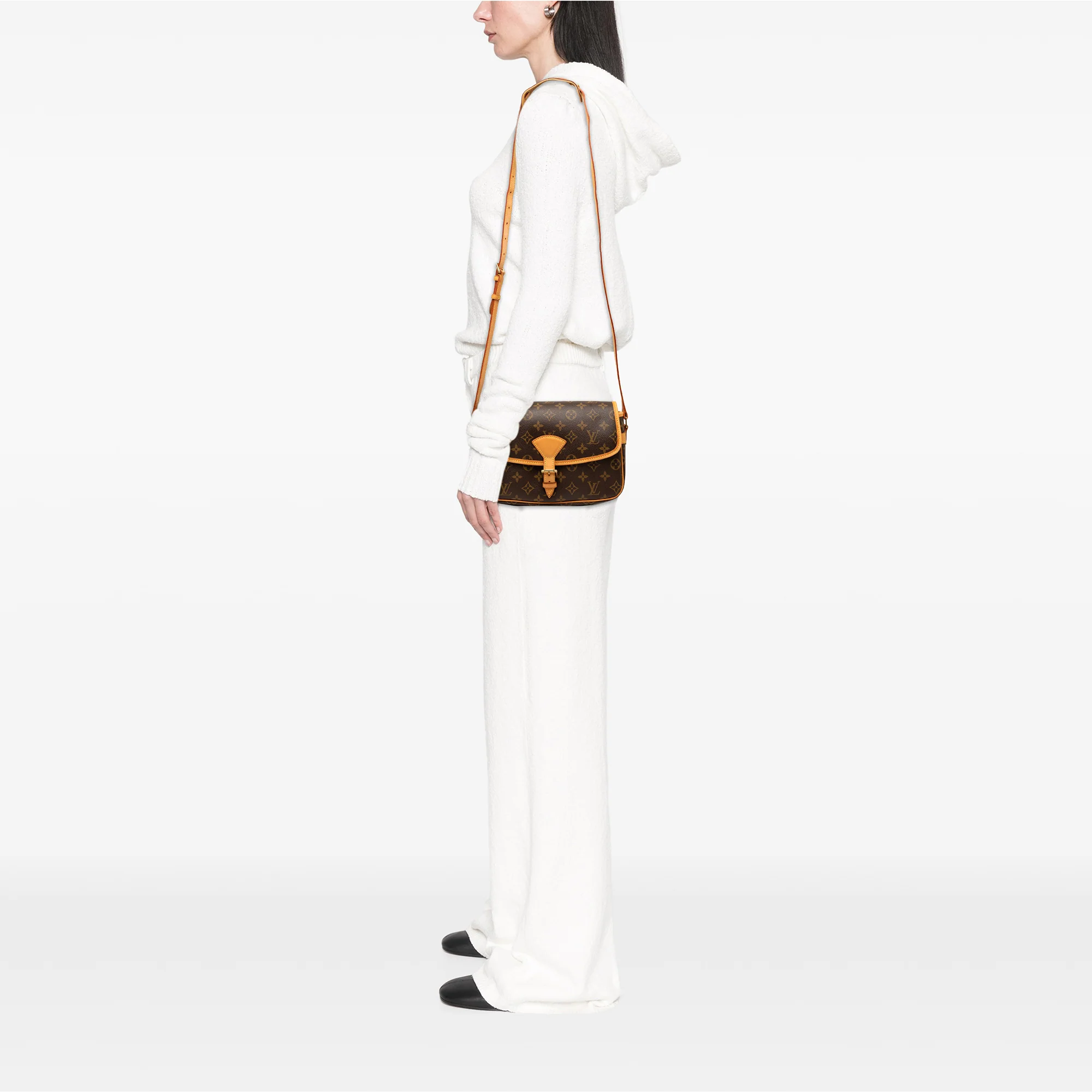 Sologne Handbag Monogram Canvas - Image 9