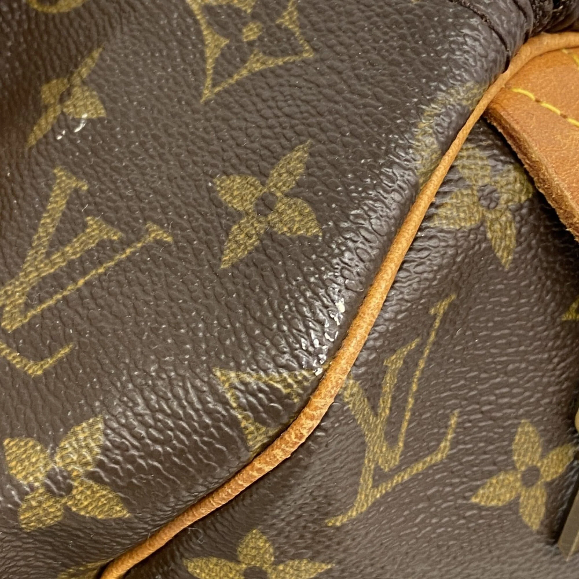Speedy Handbag Monogram Canvas 30 - Image 7
