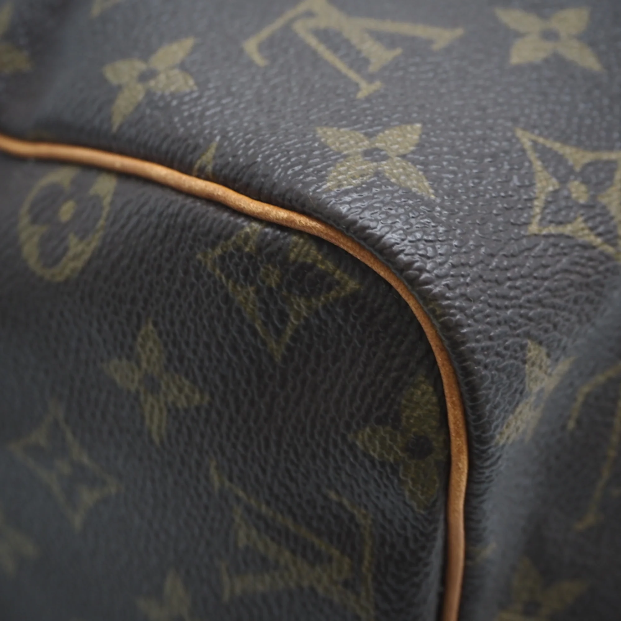 Speedy Handbag Monogram Canvas 30 - Image 7