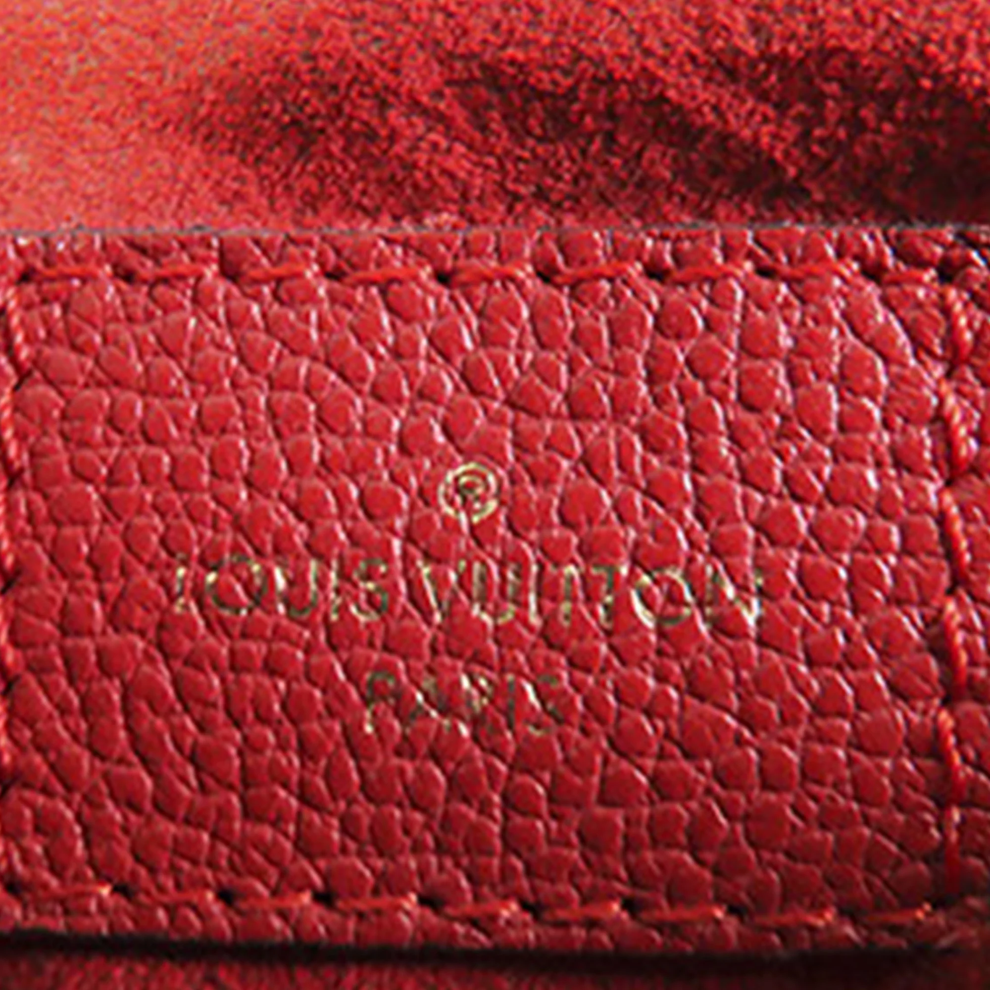 Surene Handbag Monogram Canvas with Leather BB - Image 5