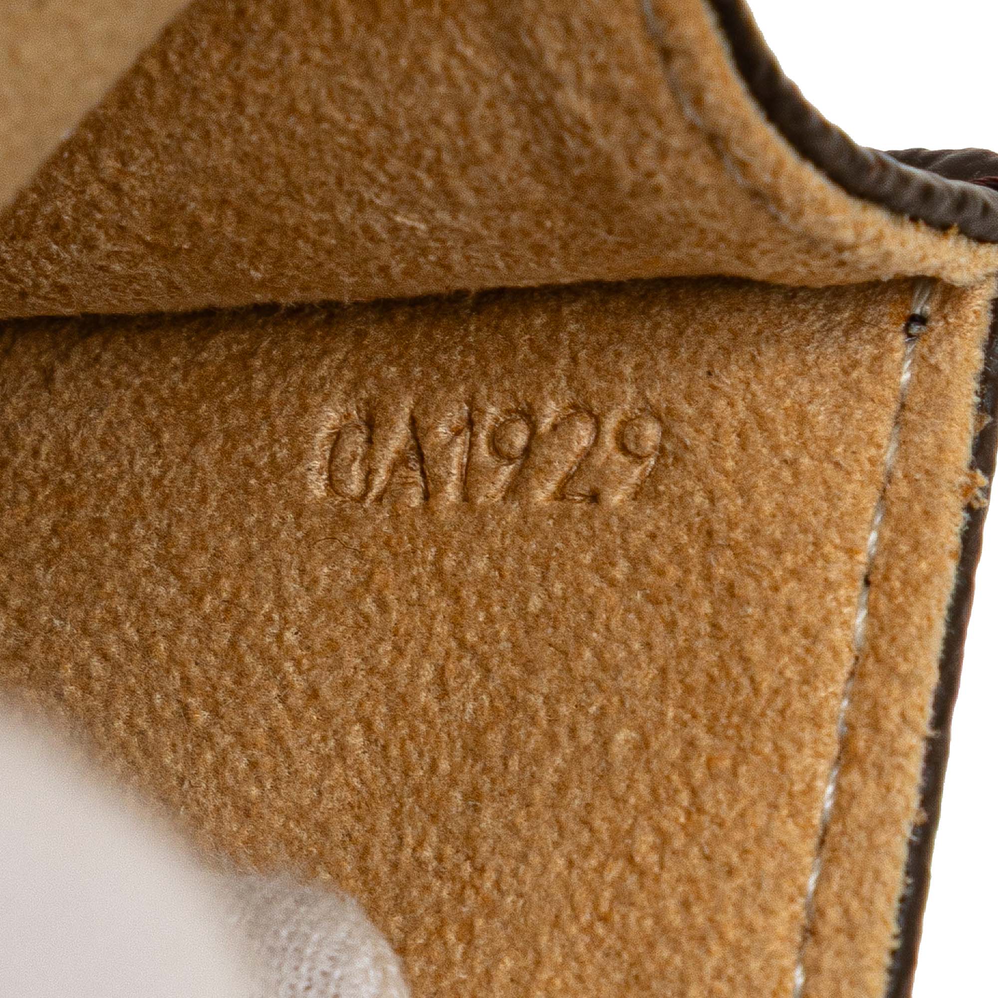 Twin Handbag Monogram Canvas PM - Image 8