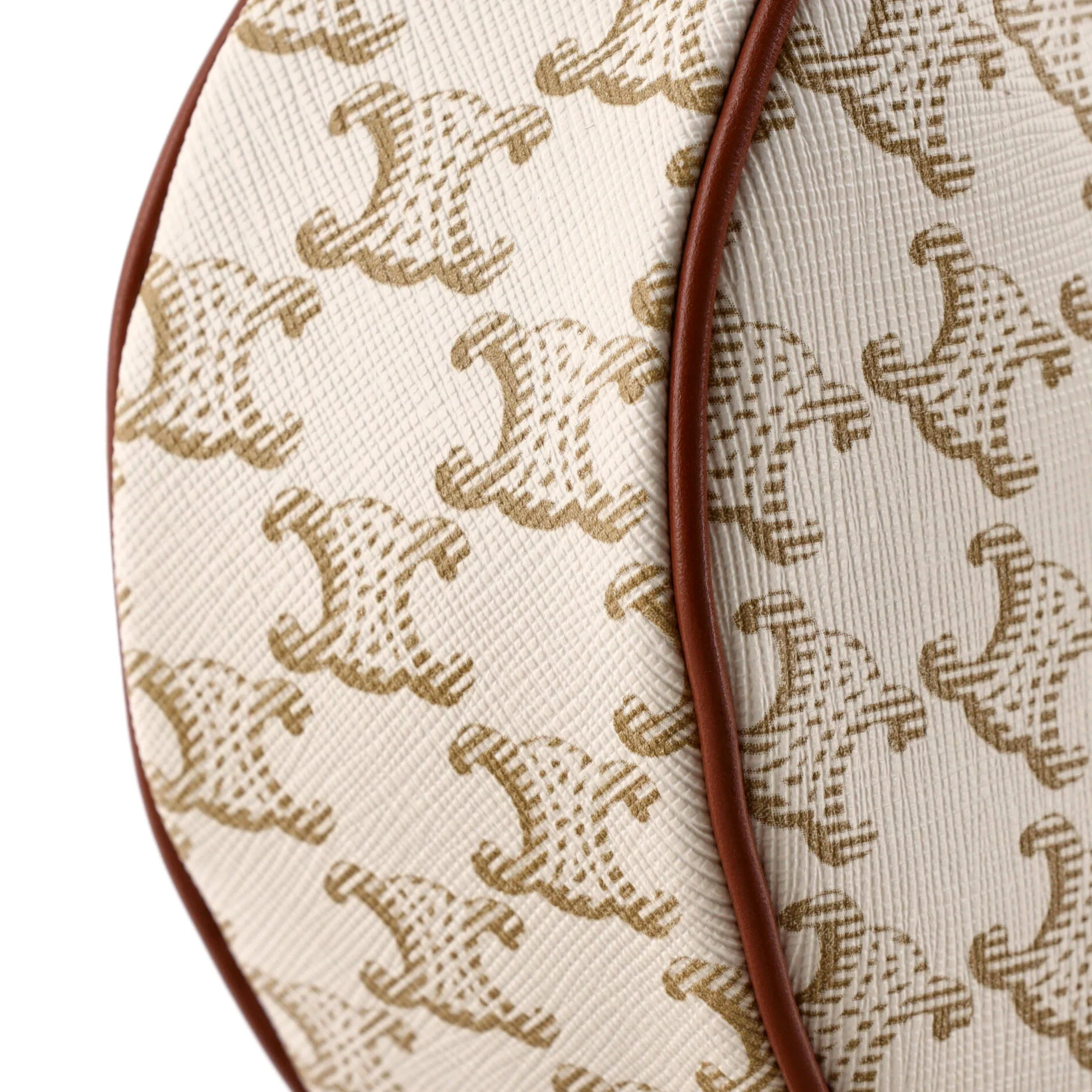 Ava Bag Triomphe Coated Canvas - Image 6