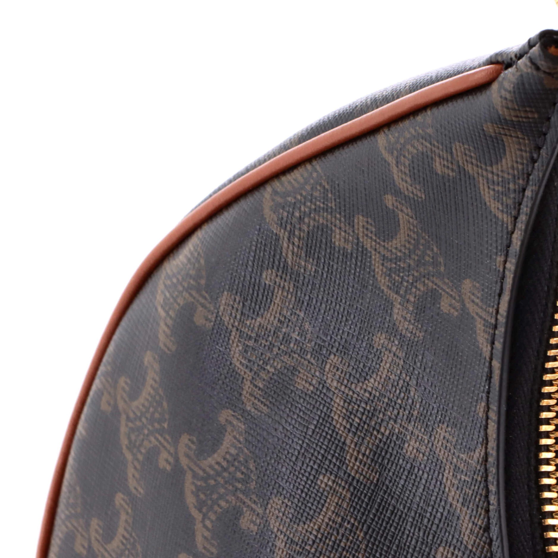 Ava Triomphe Bag Triomphe Coated Canvas - Image 7