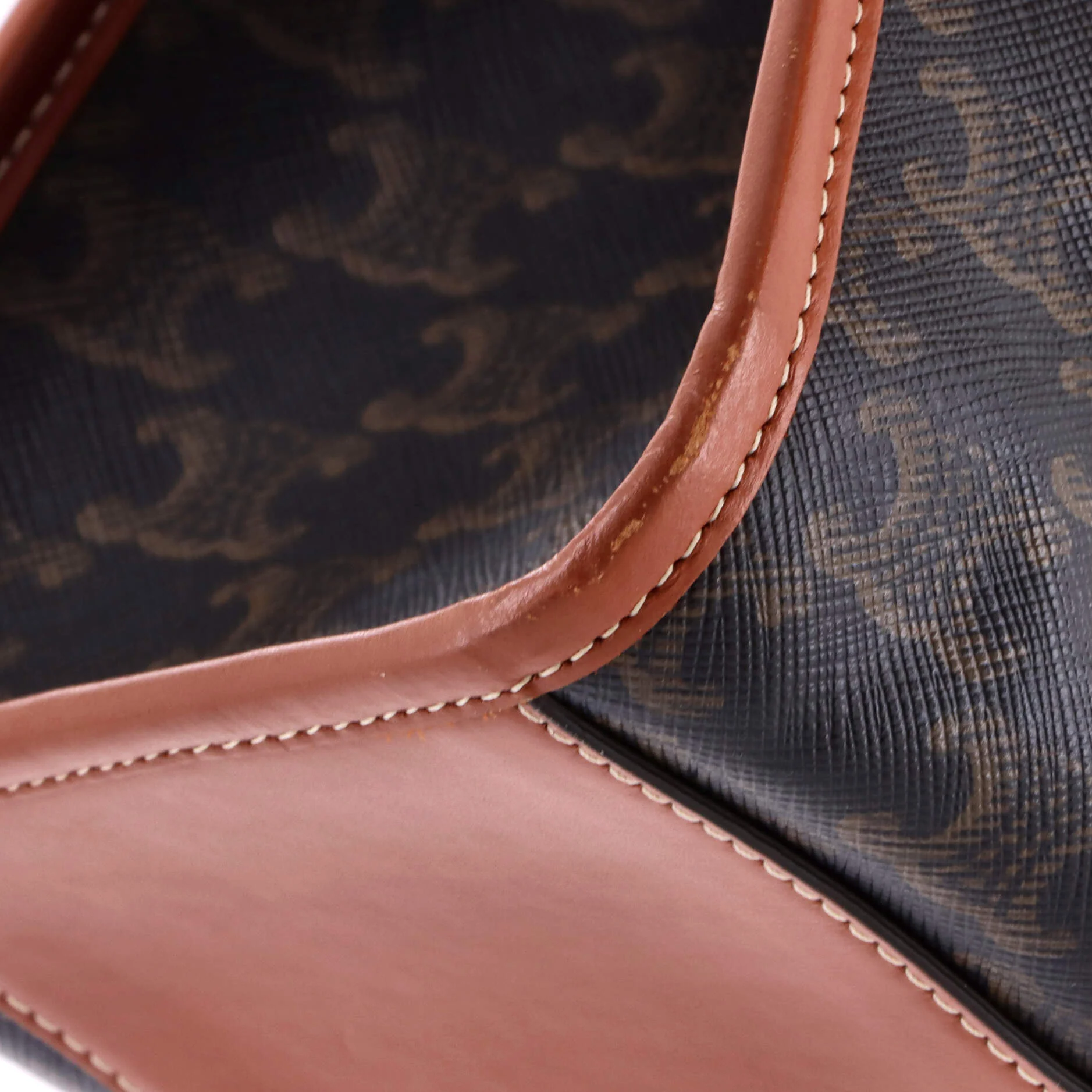 Horizontal Cabas Tote Triomphe Coated Canvas - Image 6