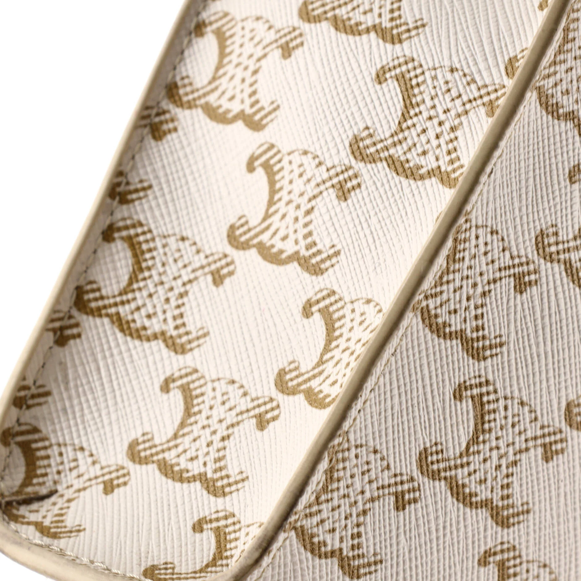 Vertical Cabas Tote Triomphe Coated Canvas Mini - Image 6