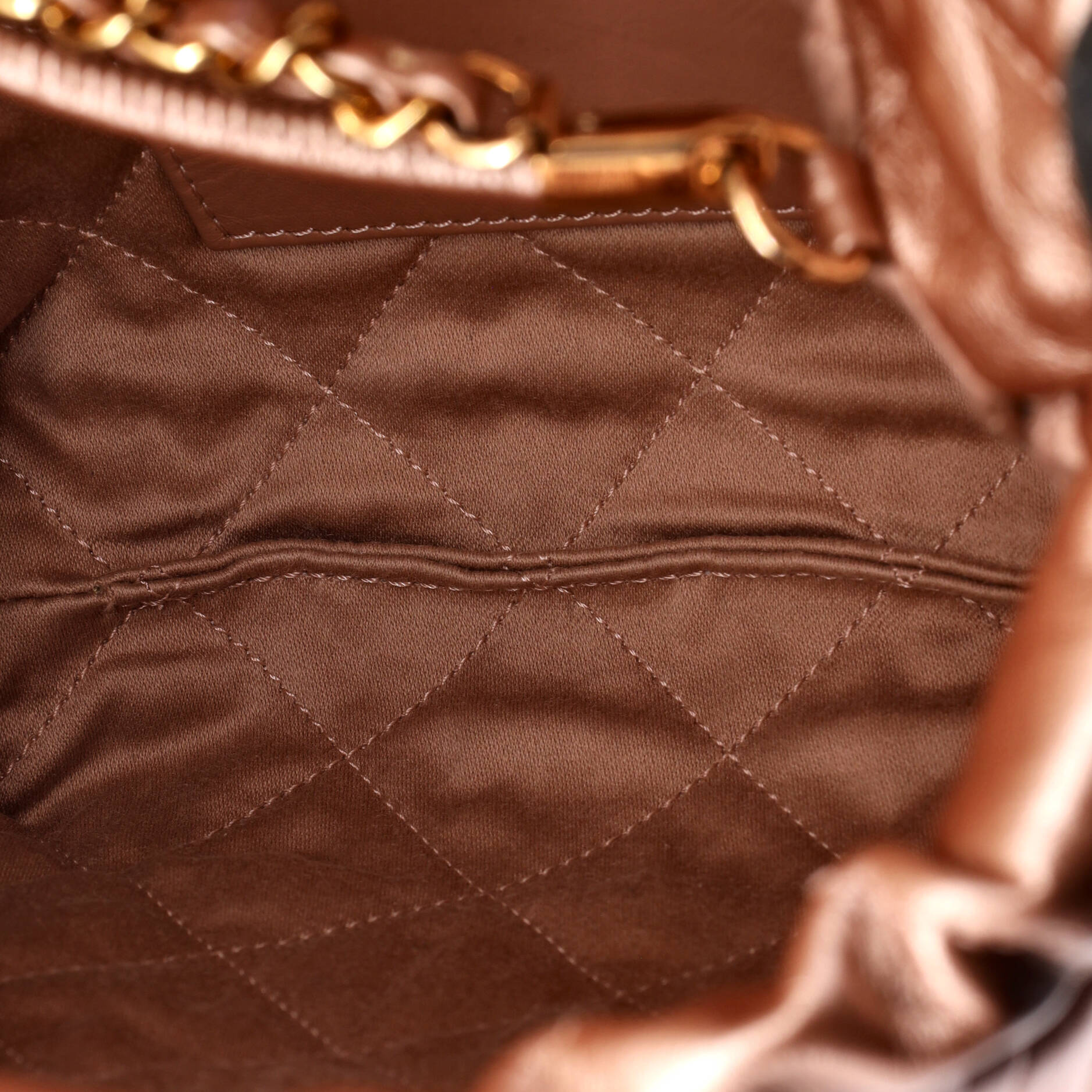 22 Chain Hobo Quilted Calfskin Mini - Image 5