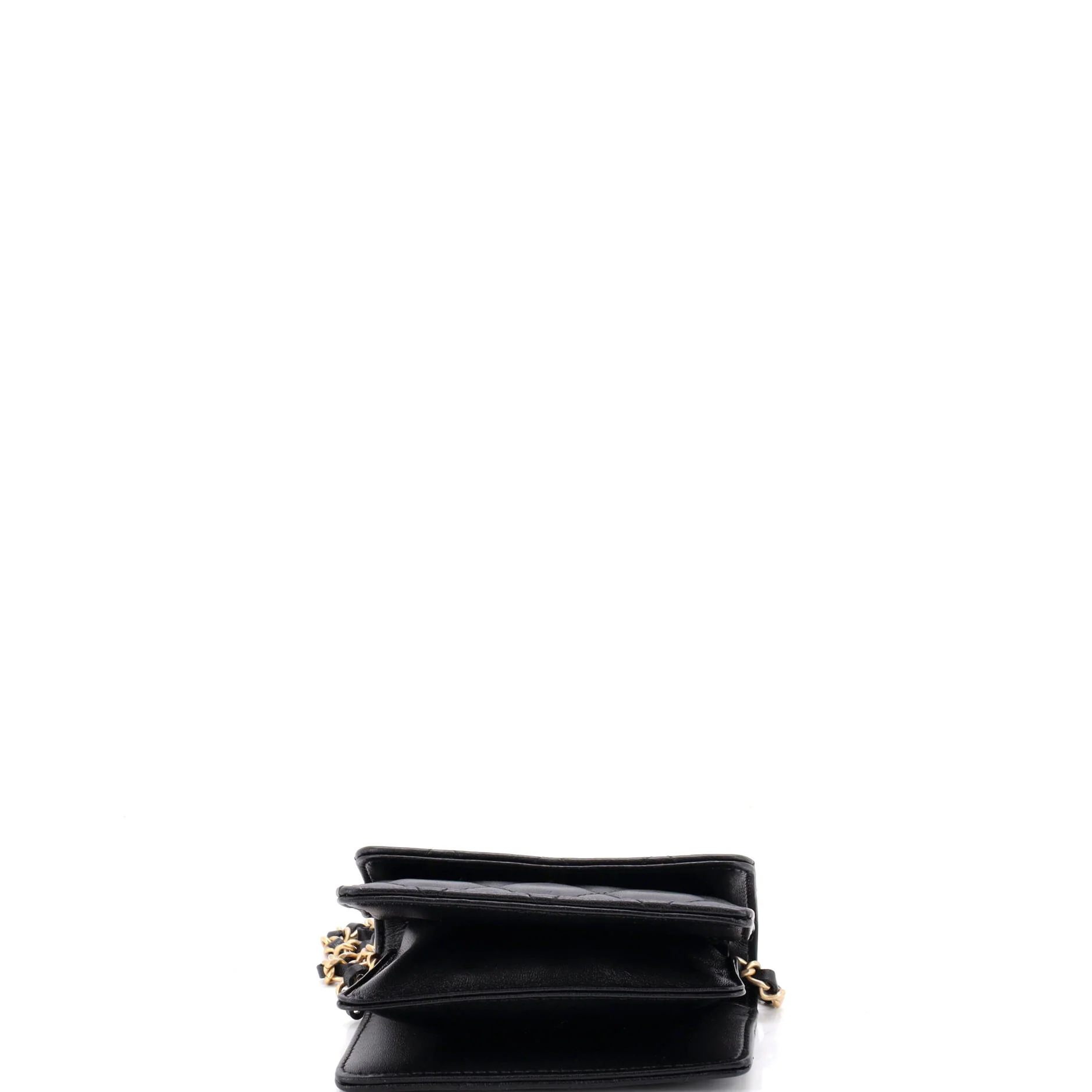 Pearl Crown Clutch with Chain Quilted Lambskin - Image 5