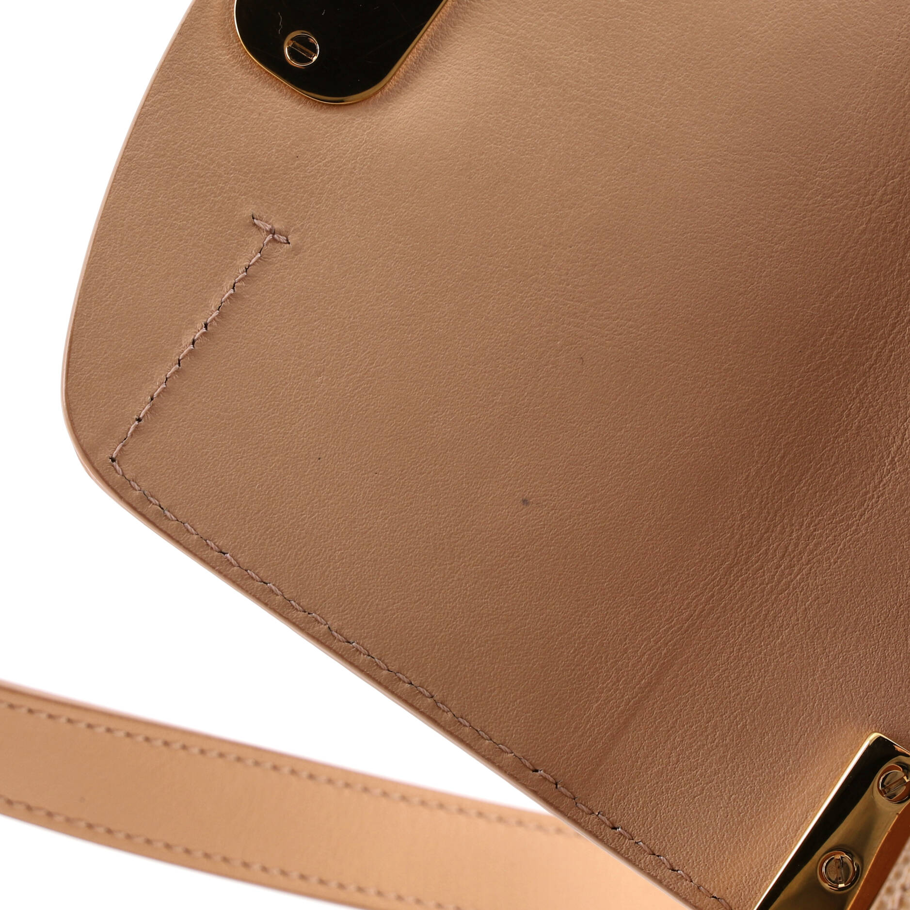 C Flap Bag Lizard Embossed Leather Mini - Image 6