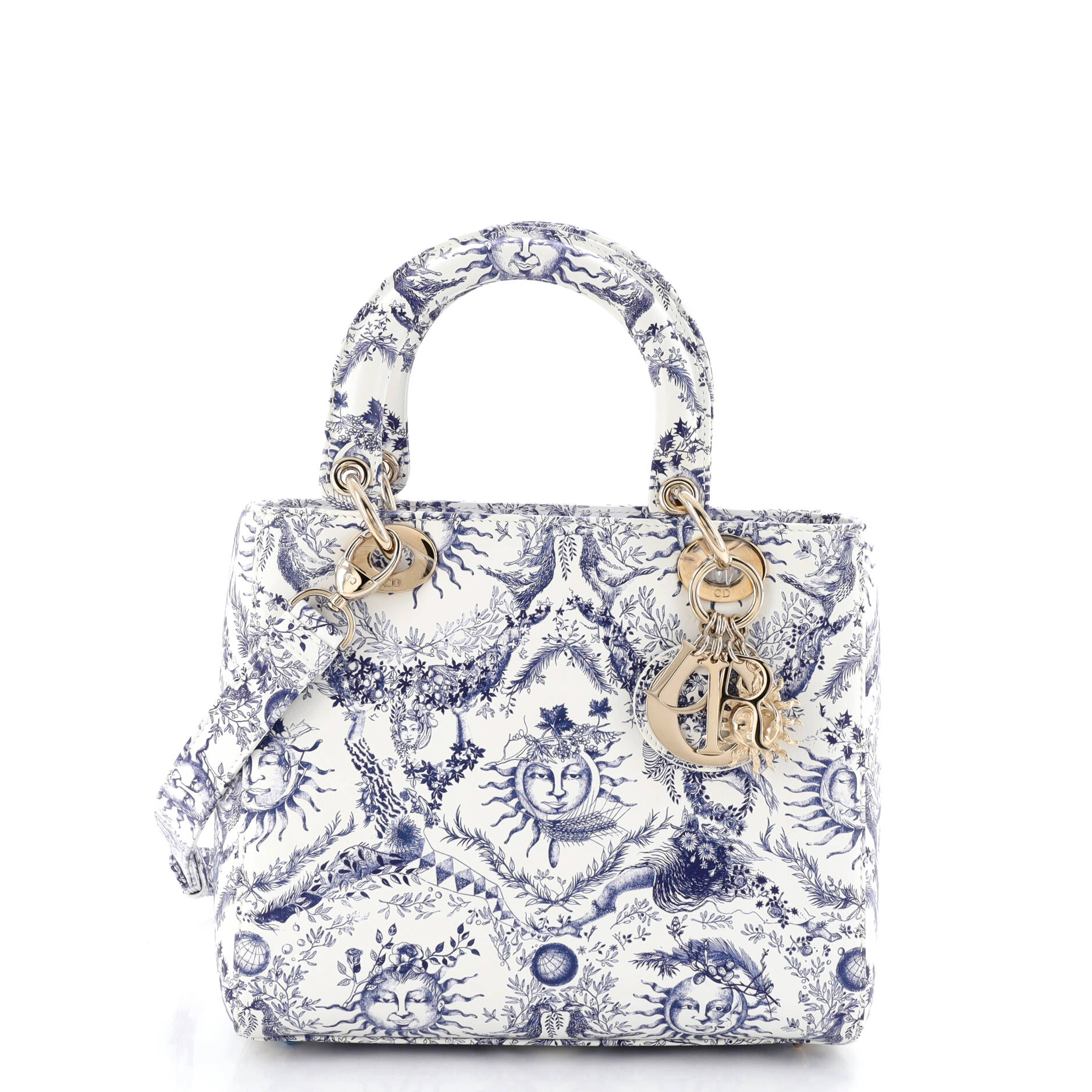 Le Soleil Lady Dior NM Bag Printed Leather Medium