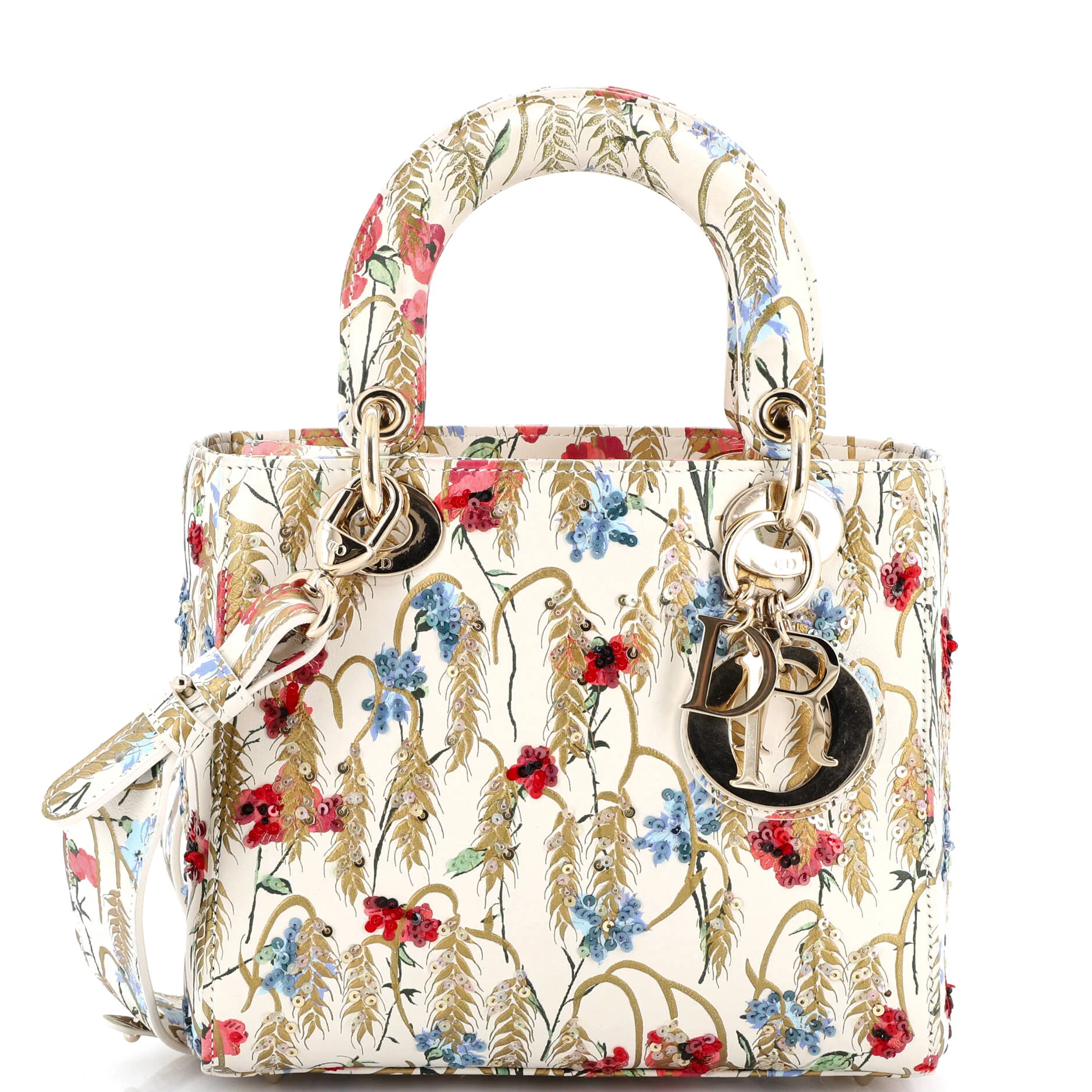 My ABCDior Lady Dior Bag Embroidered Printed Leather