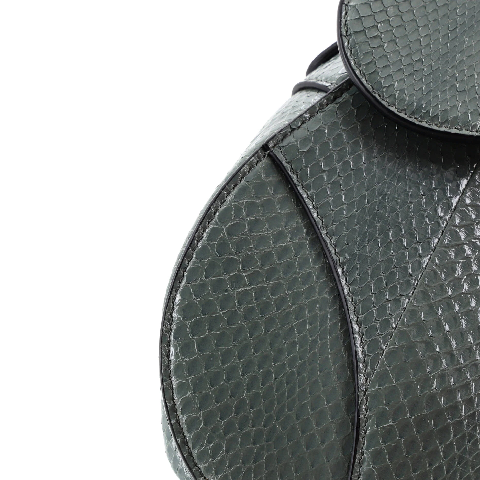 Saddle Handbag Python Medium - Image 7