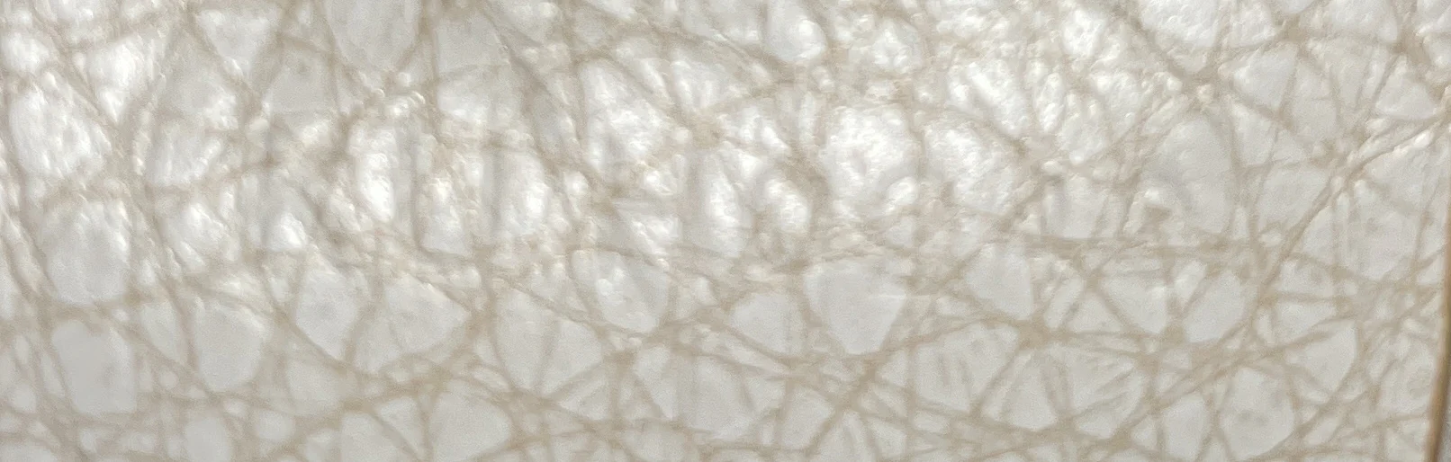 Antigona Bag Leather Mini - Image 7