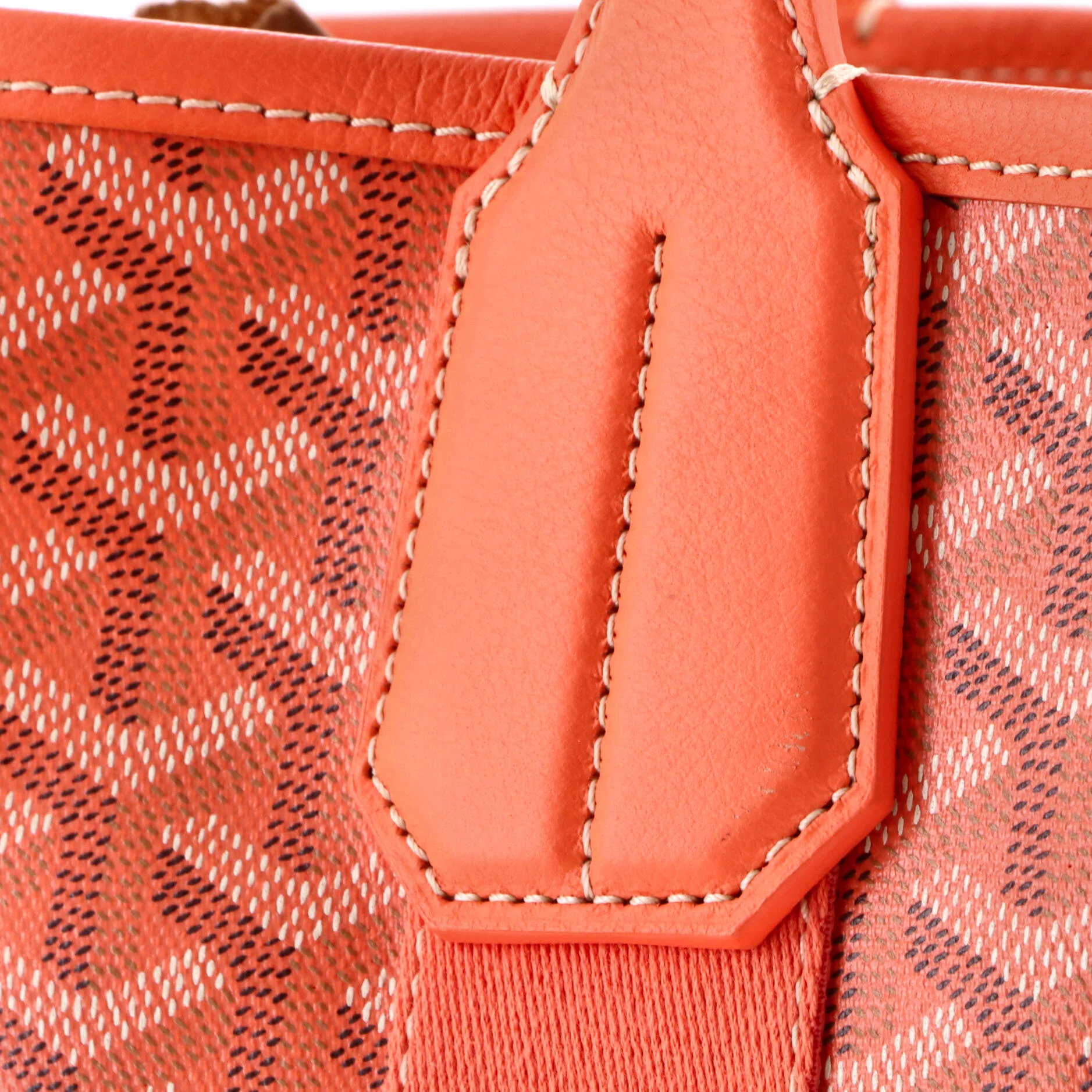 Belharra Tote Coated Canvas PM - Image 6