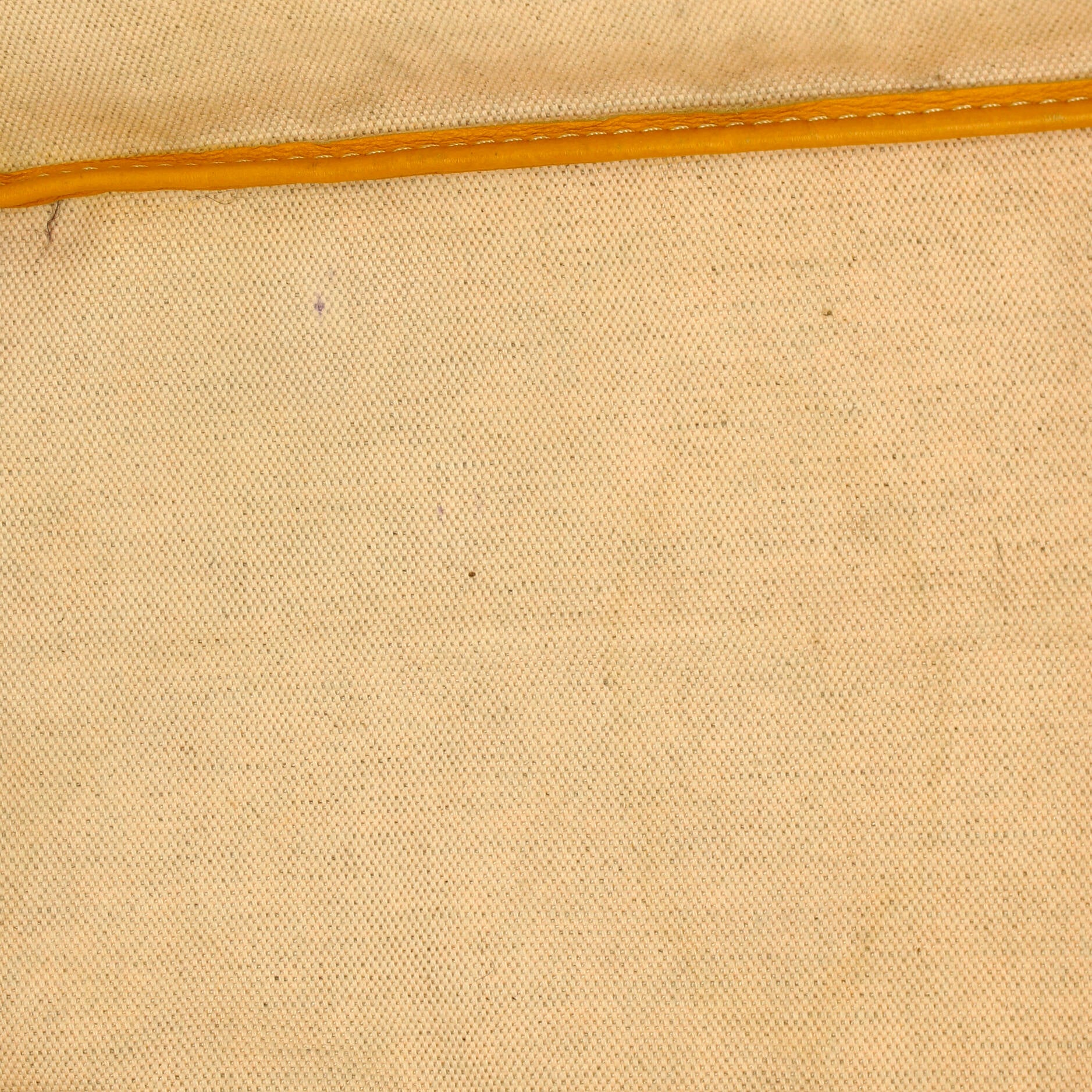 Saint Louis Tote Coated Canvas PM - Image 6