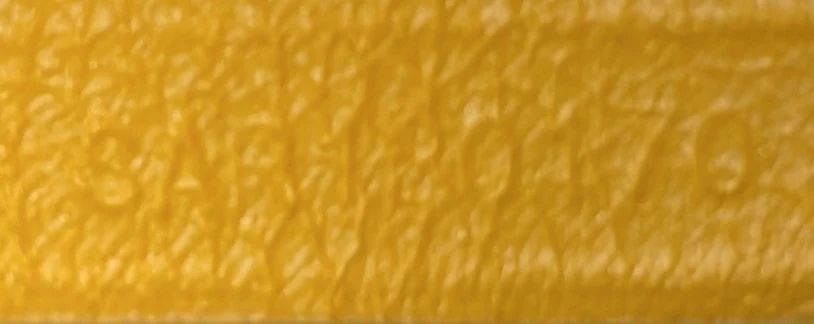 Saint Louis Tote Coated Canvas PM - Image 9