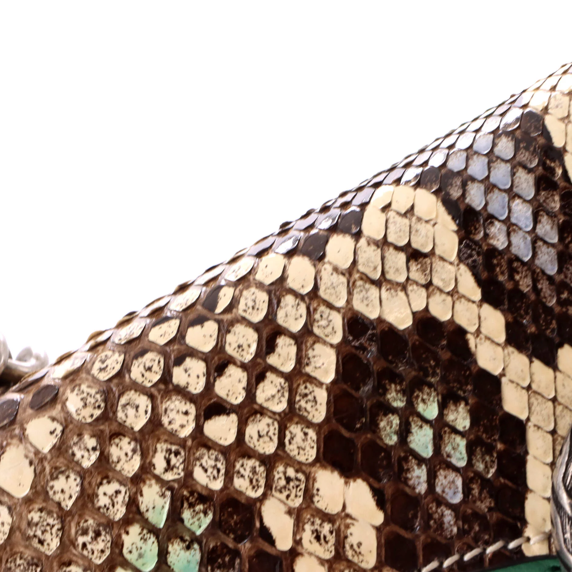 Dionysus Bag Python with Ostrich and Leather Small - Image 6