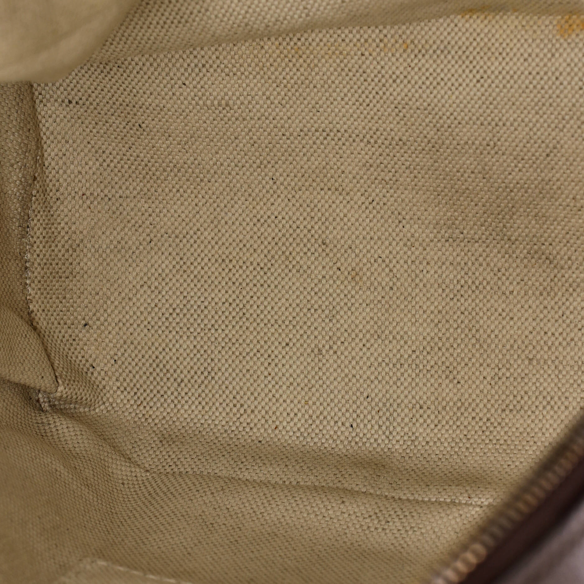 Ophidia Backpack GG Coated Canvas and Leather Small - Image 5