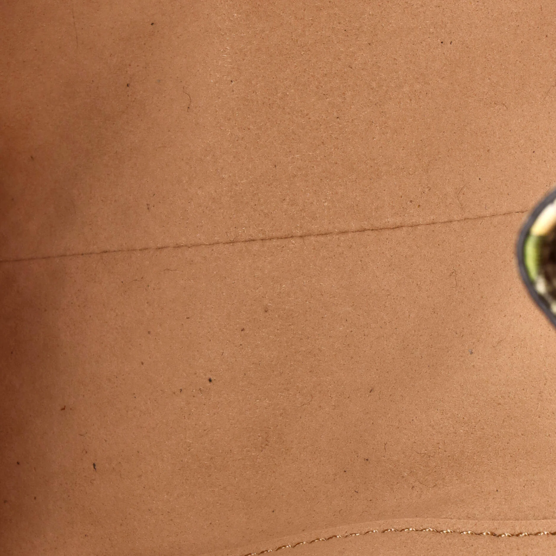 Padlock Chain Tote Flora GG Coated Canvas Small - Image 5