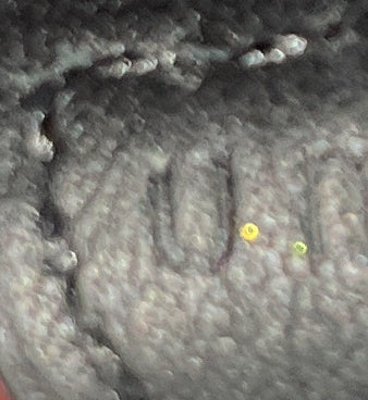 Evelyne Bag Gen III Felt TPM - Image 7